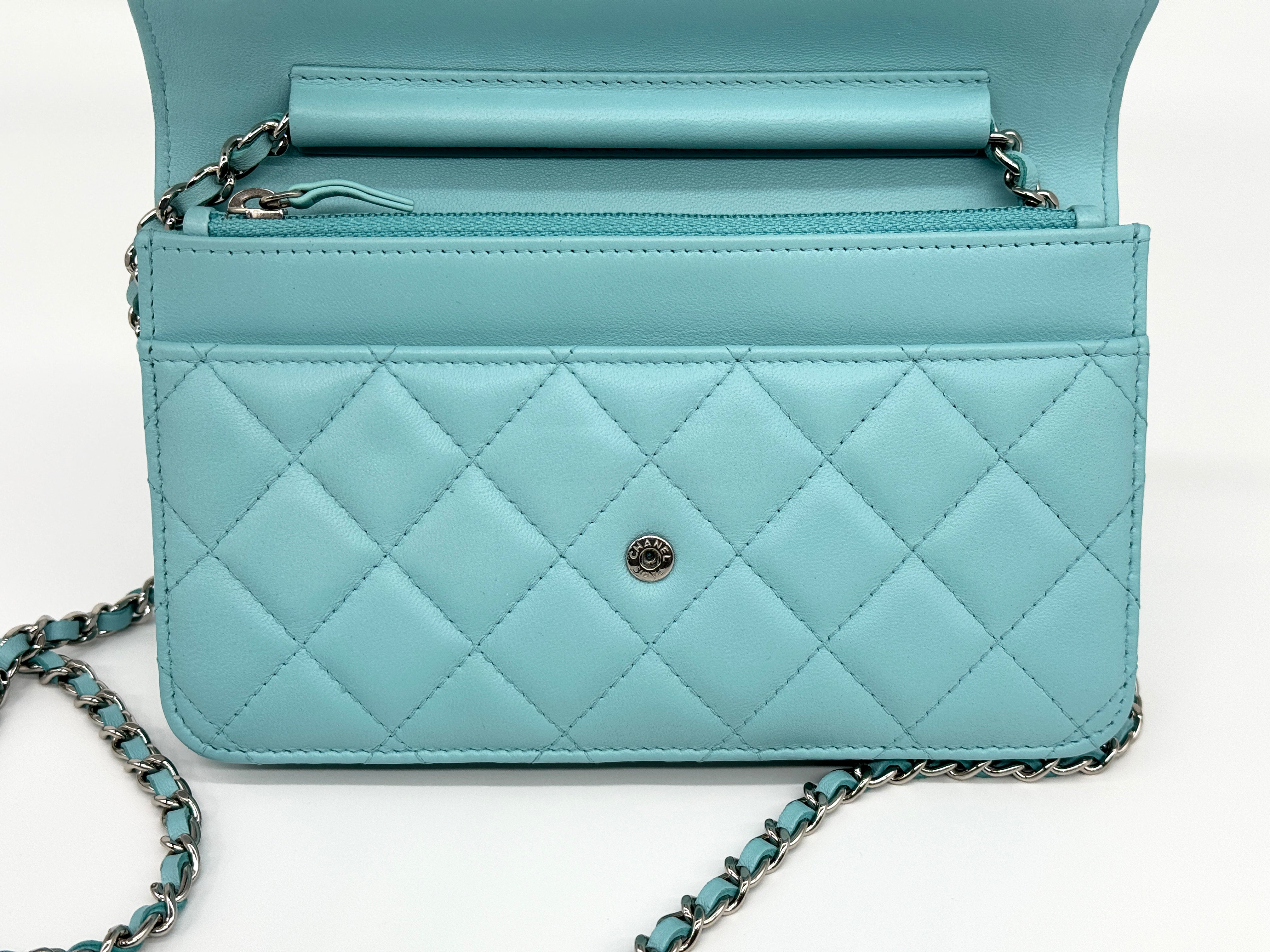 Chanel Classic Wallet on Chain Bag