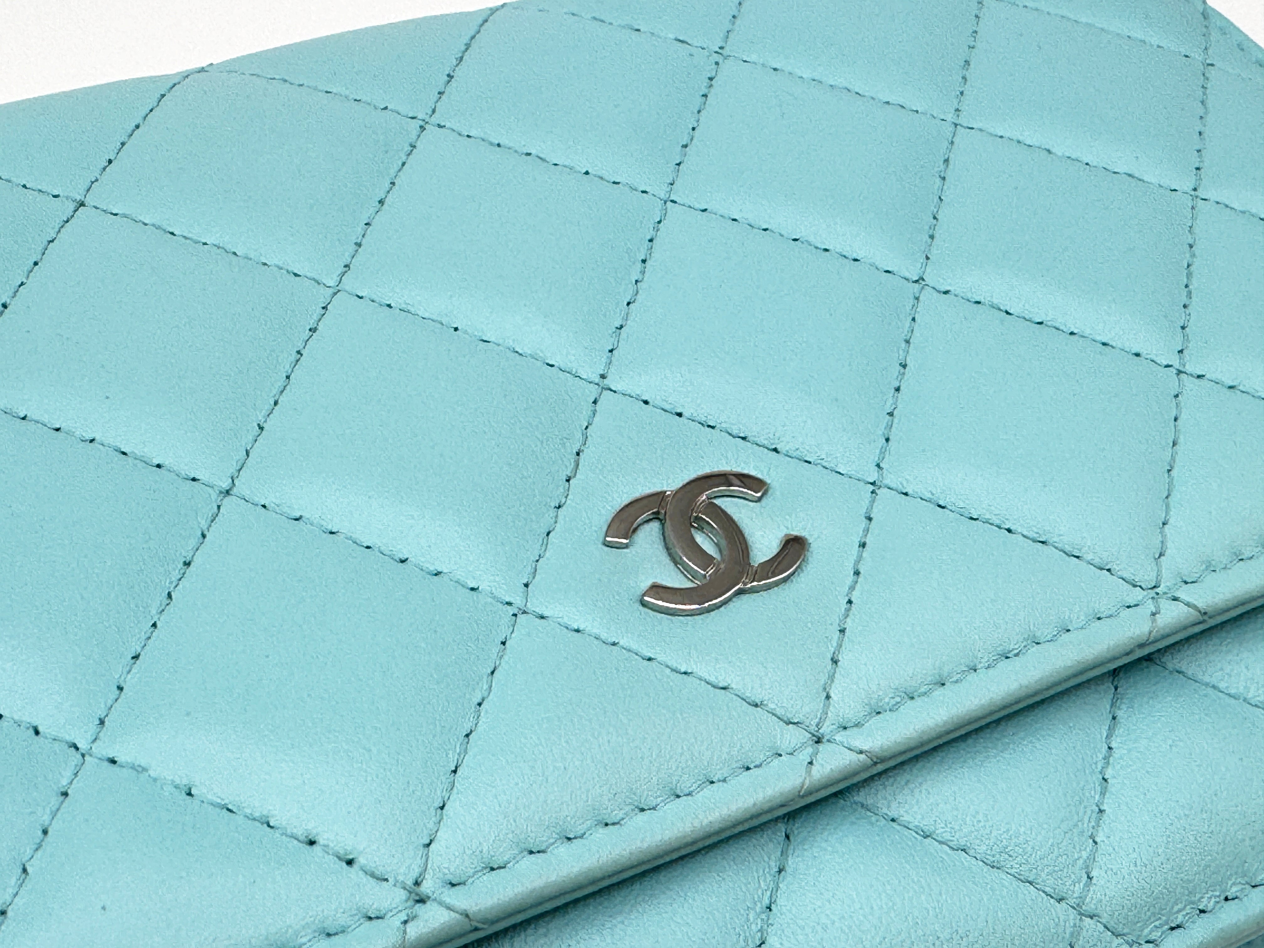 Chanel Classic Wallet on Chain Bag