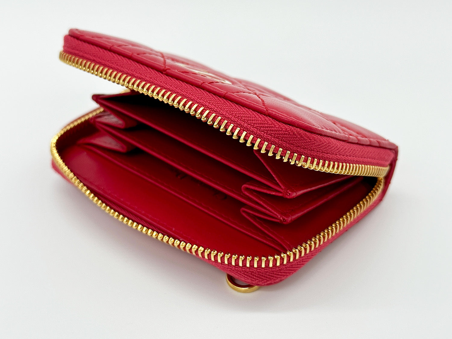Dior Caro Zipped Pouch