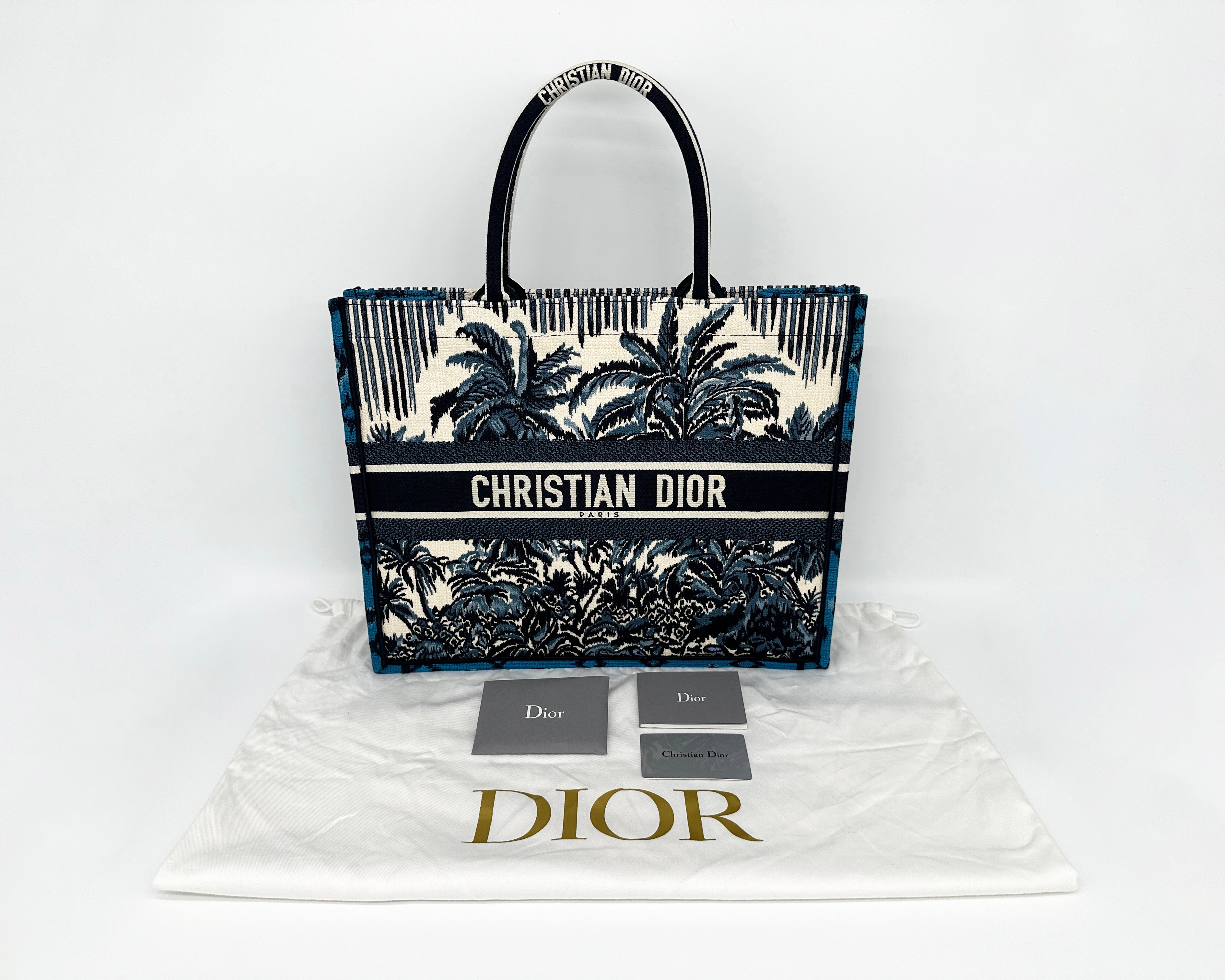 Dior Large Book Tote