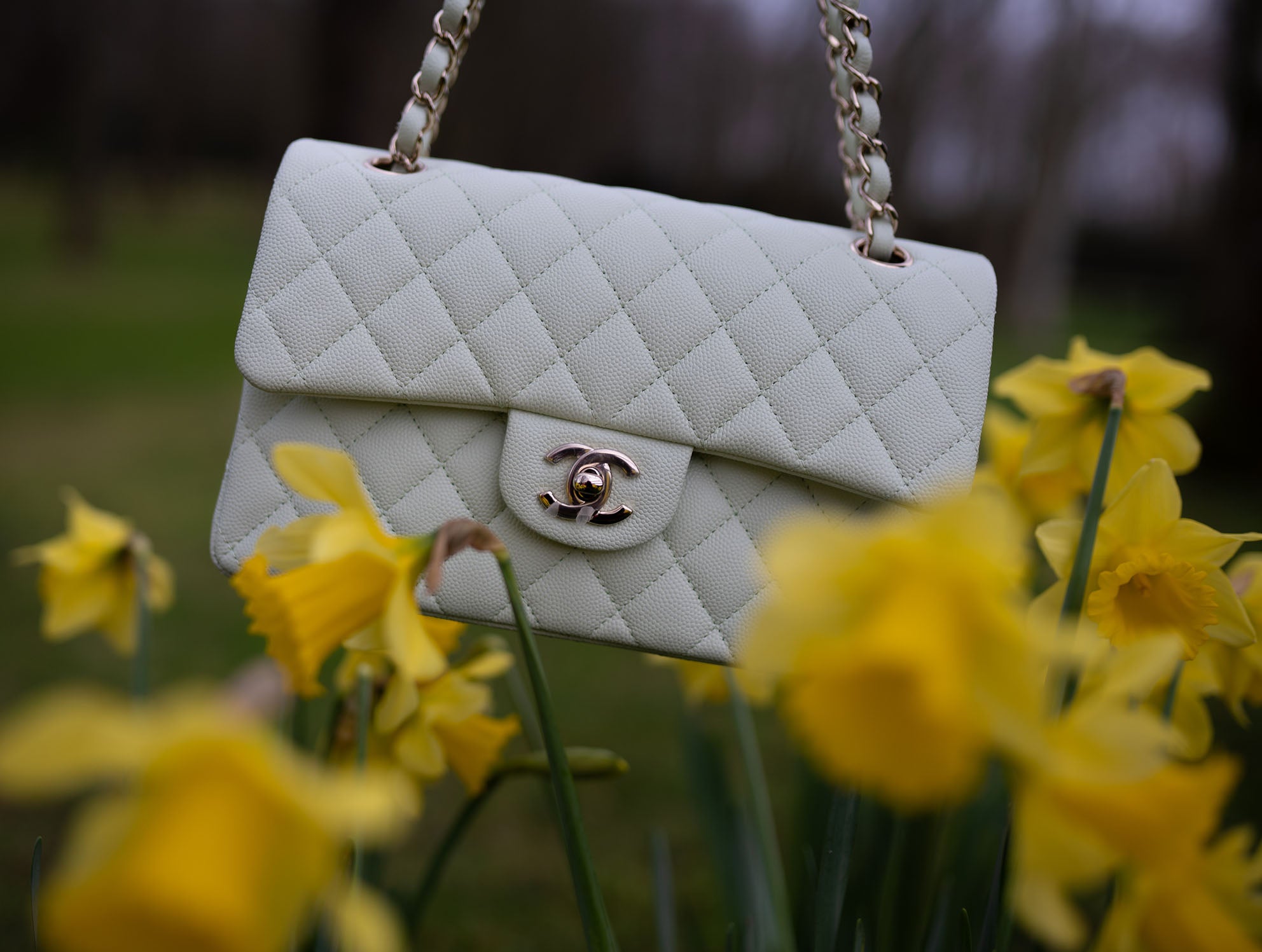 Chanel Small Classic Flap 11.12 Handbag