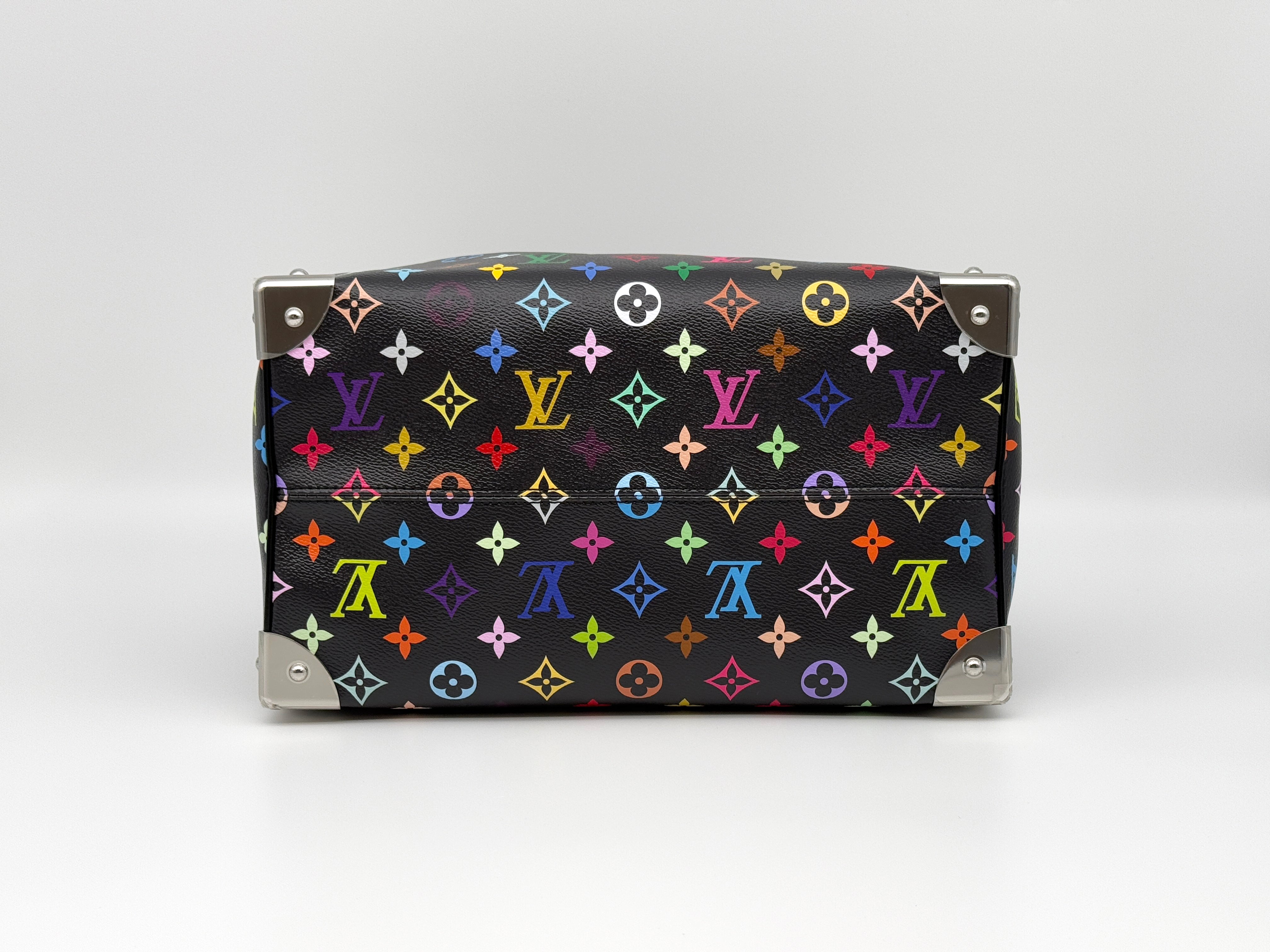 Louis Vuitton Speedy Soft 30 Bag