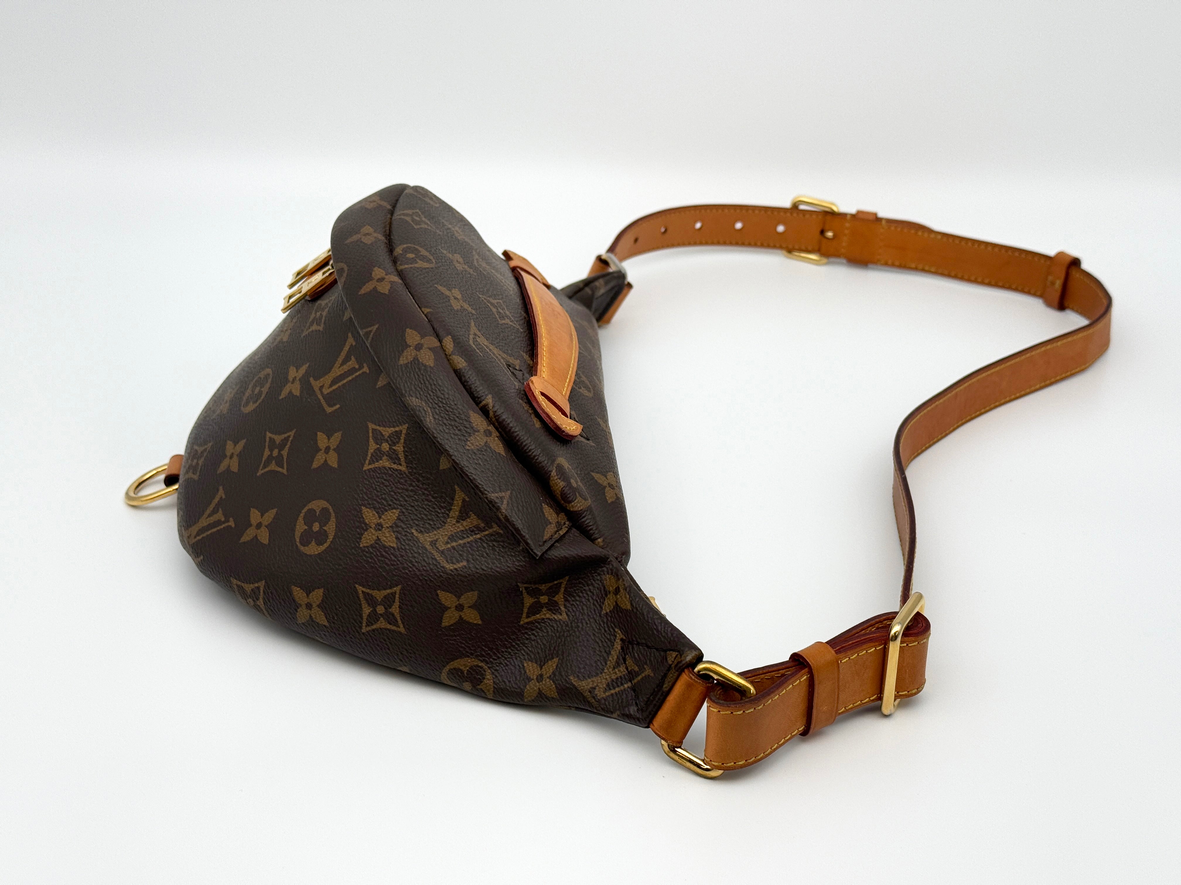 Louis Vuitton Bumbag