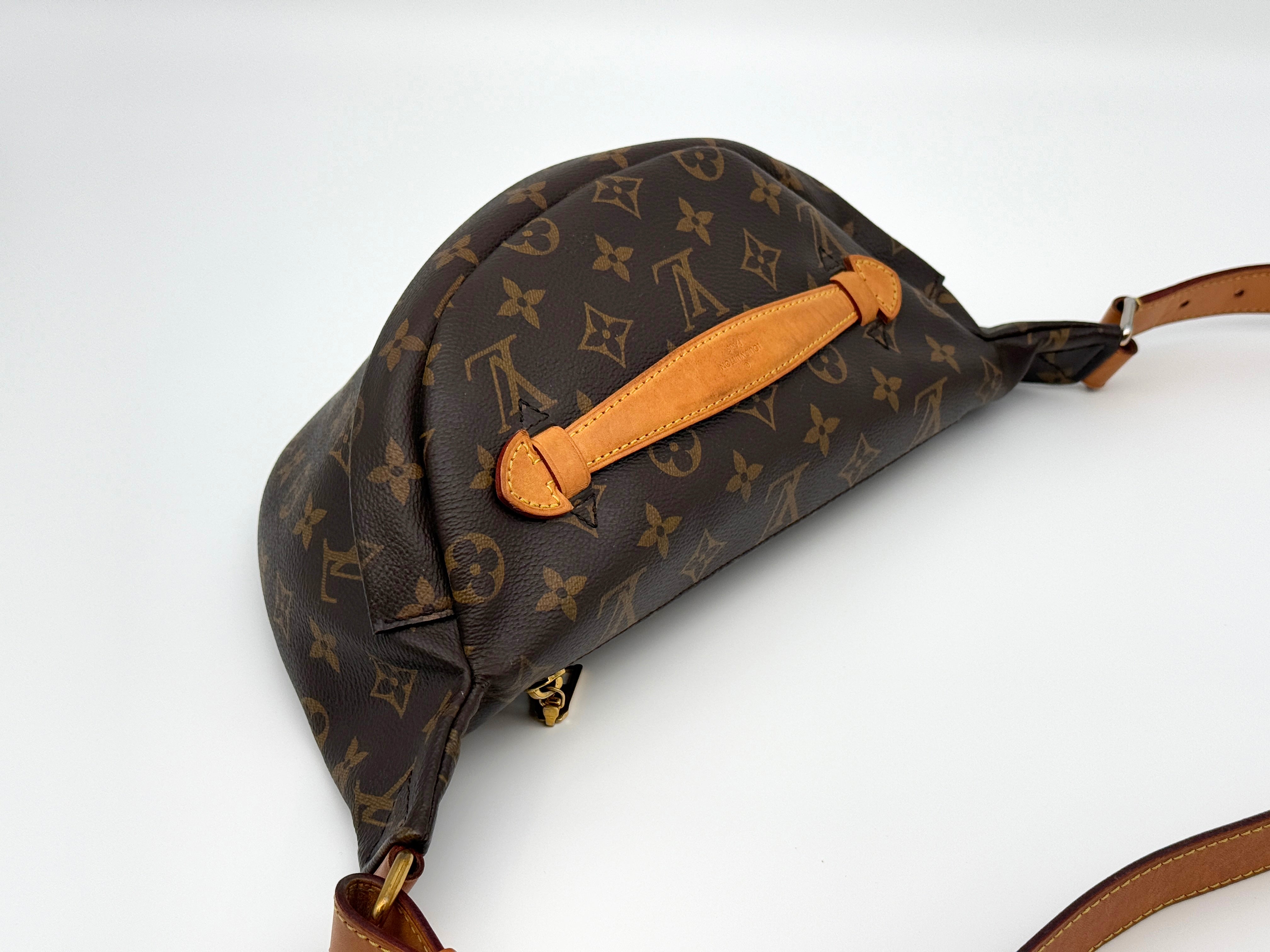 Louis Vuitton Bumbag