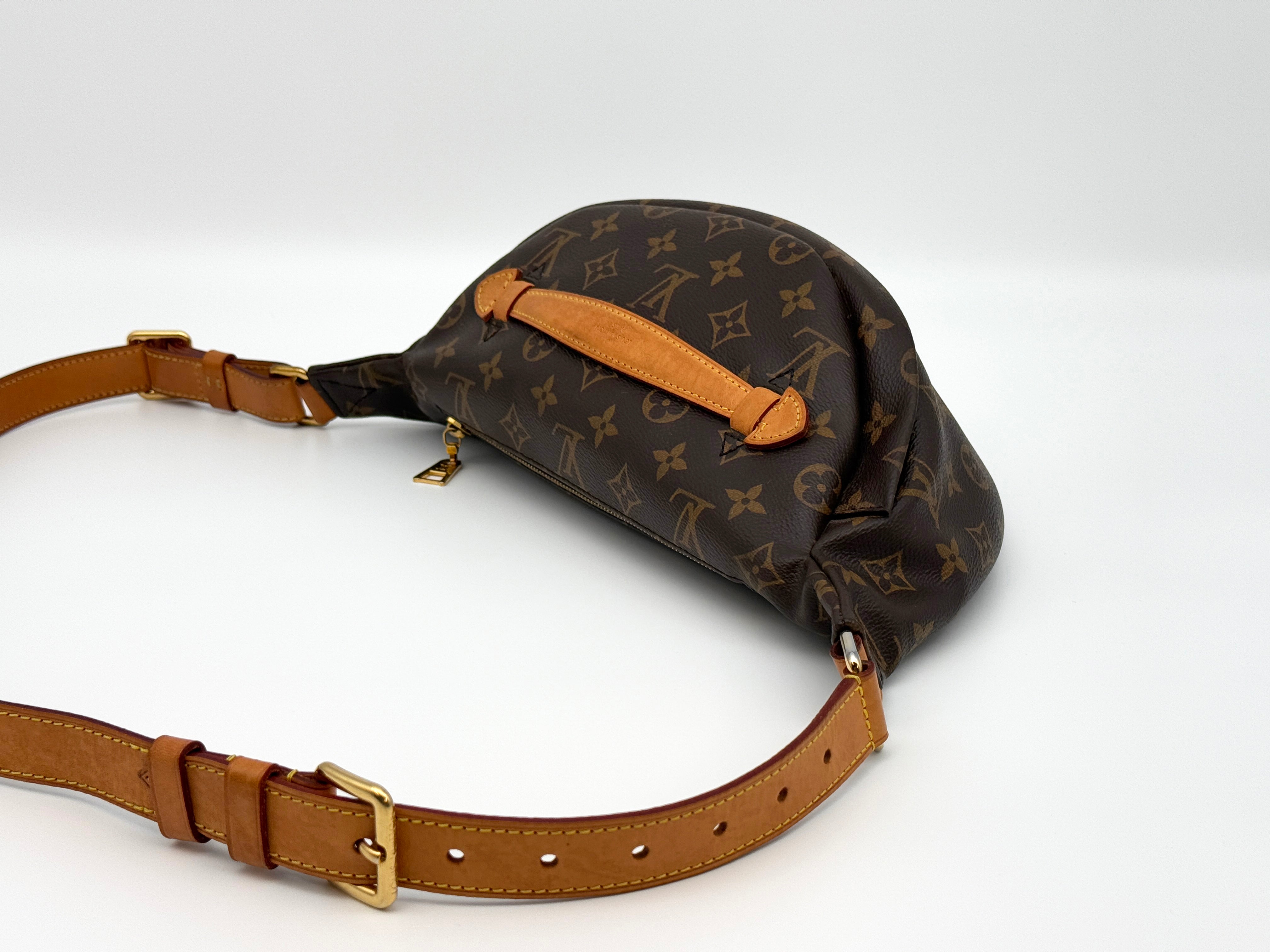 Louis Vuitton Bumbag