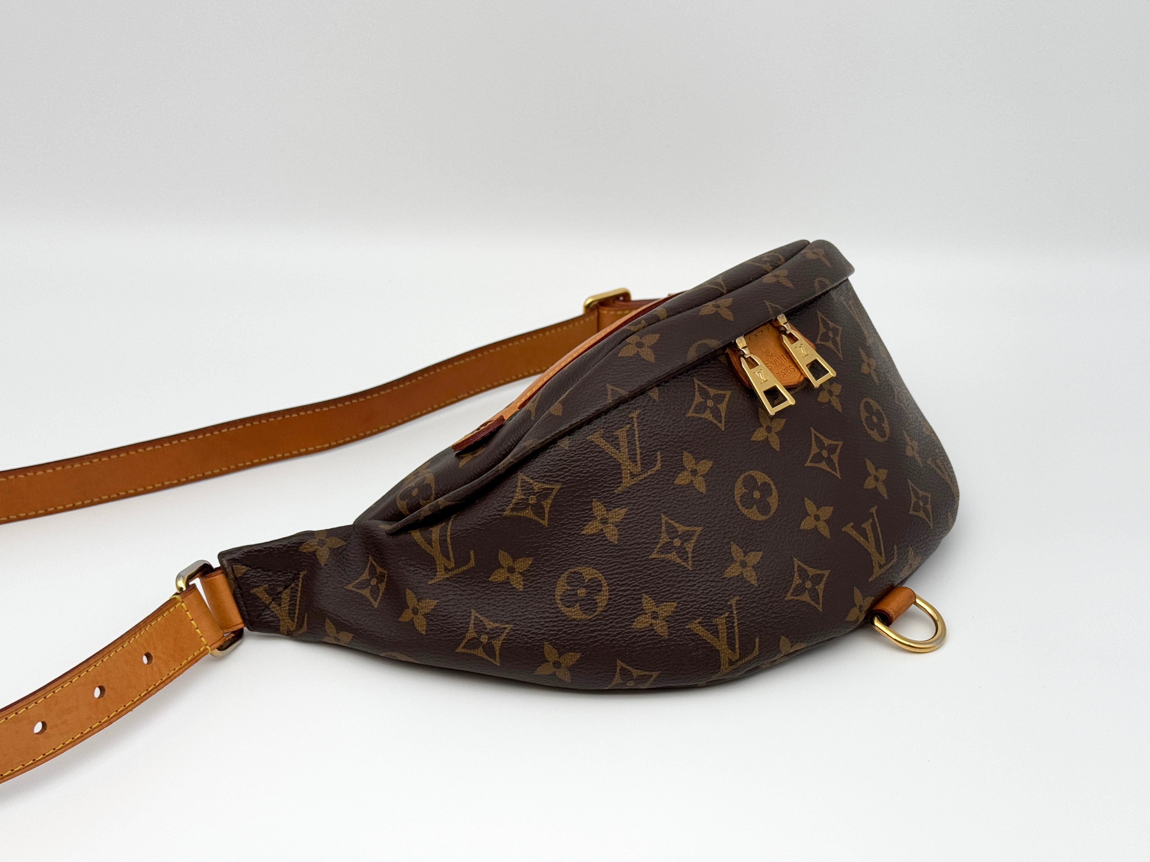 Louis Vuitton Bumbag