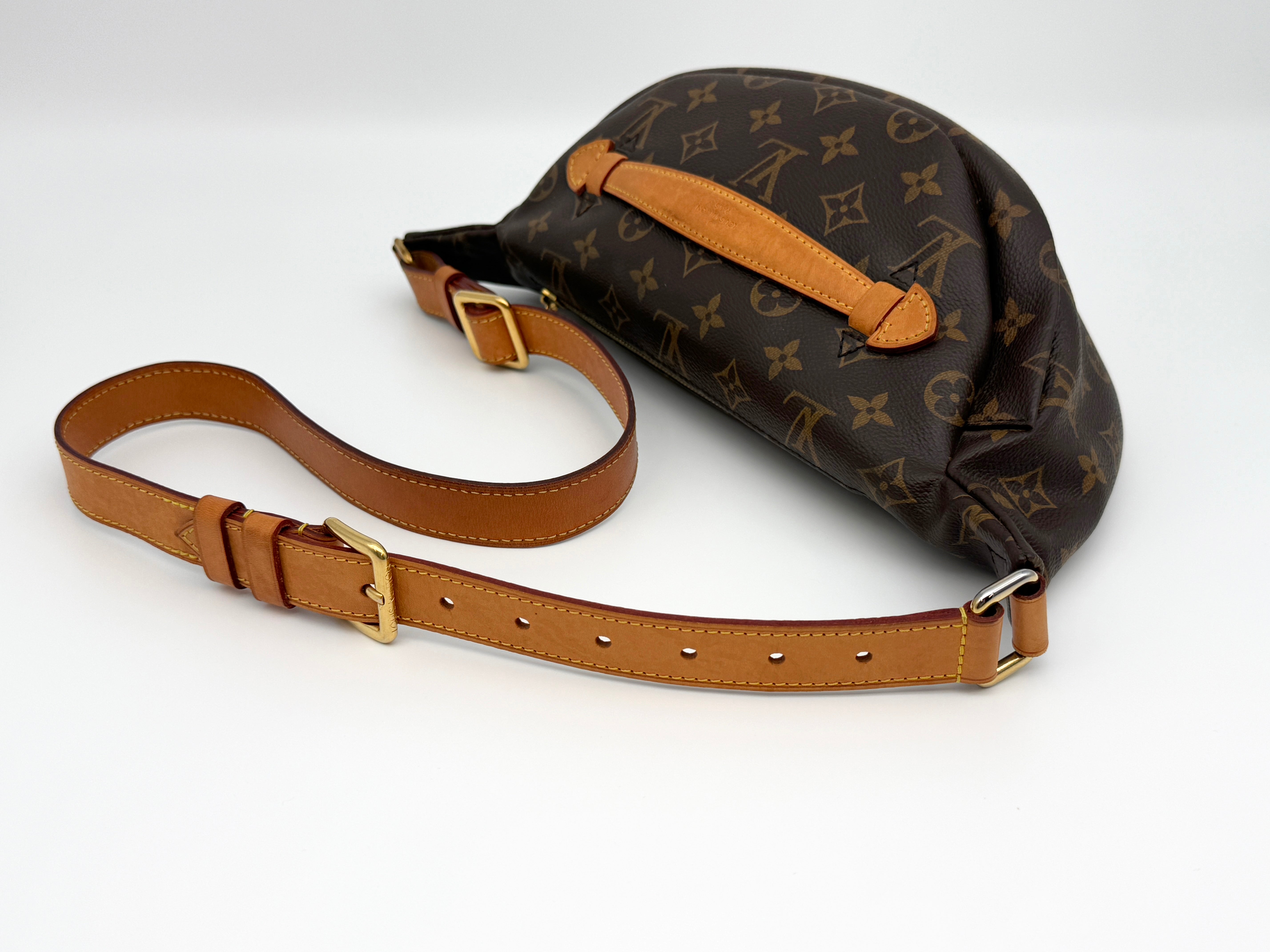 Louis Vuitton Bumbag