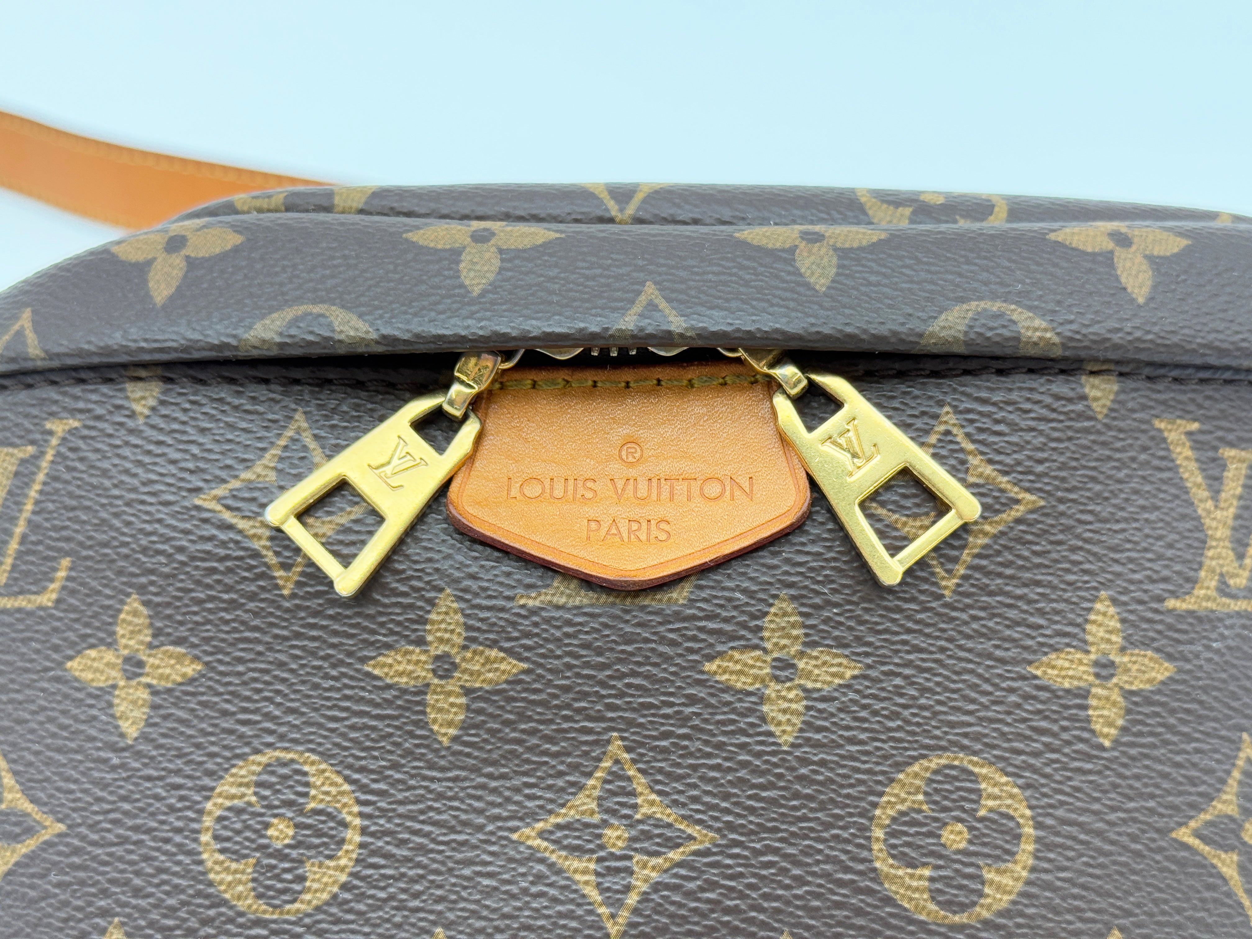 Louis Vuitton Bumbag