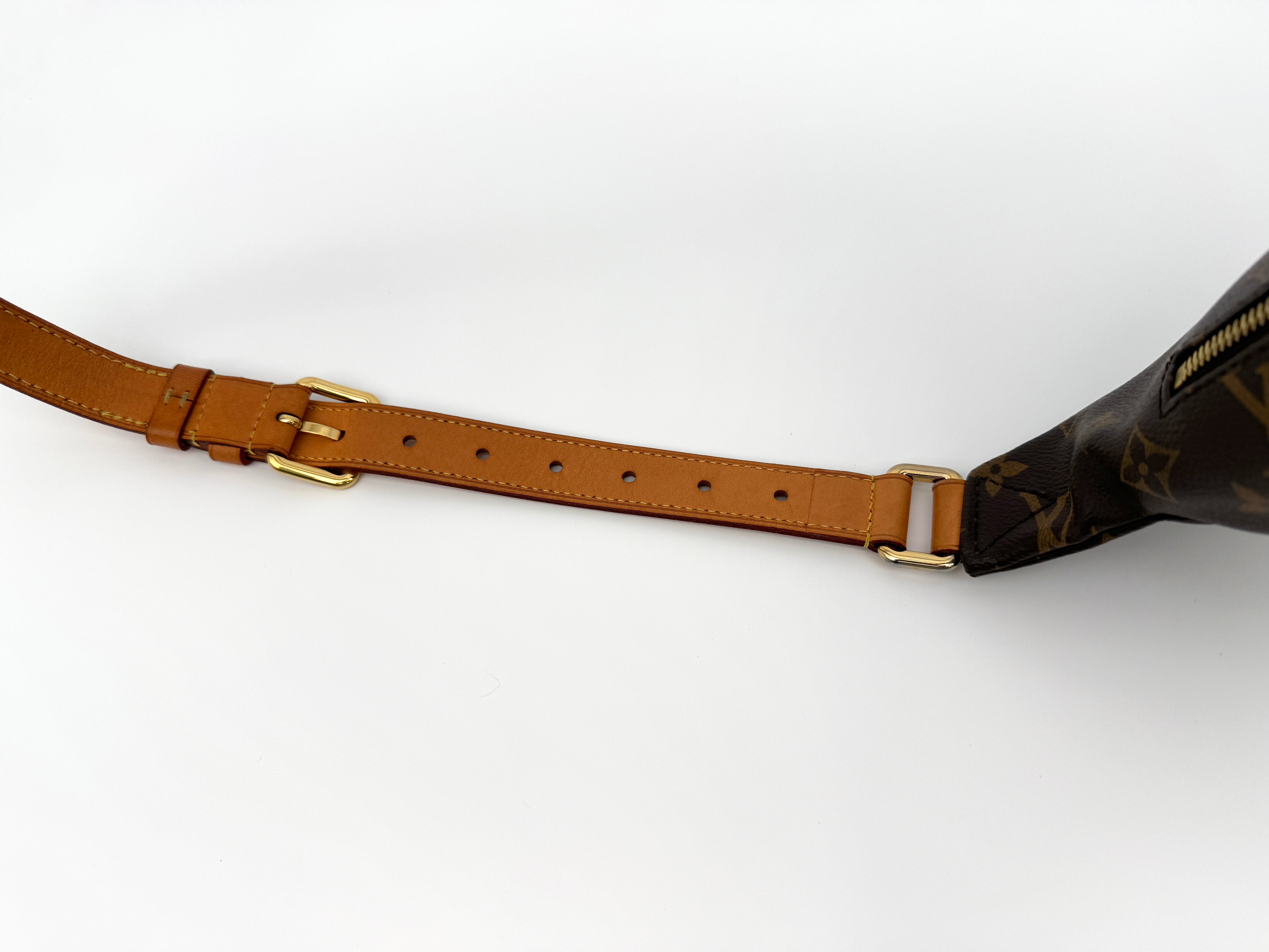 Louis Vuitton Bumbag