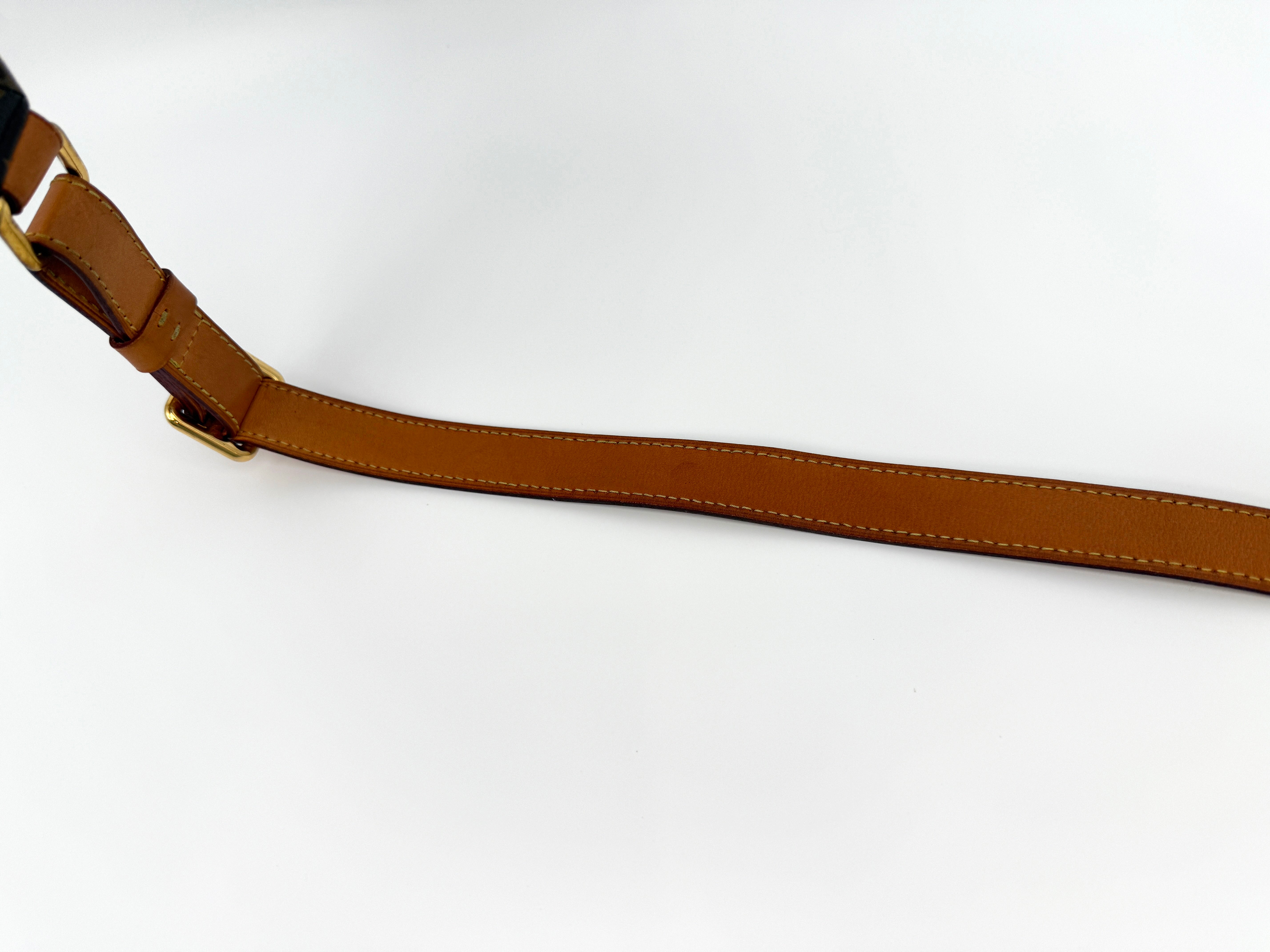 Louis Vuitton Bumbag