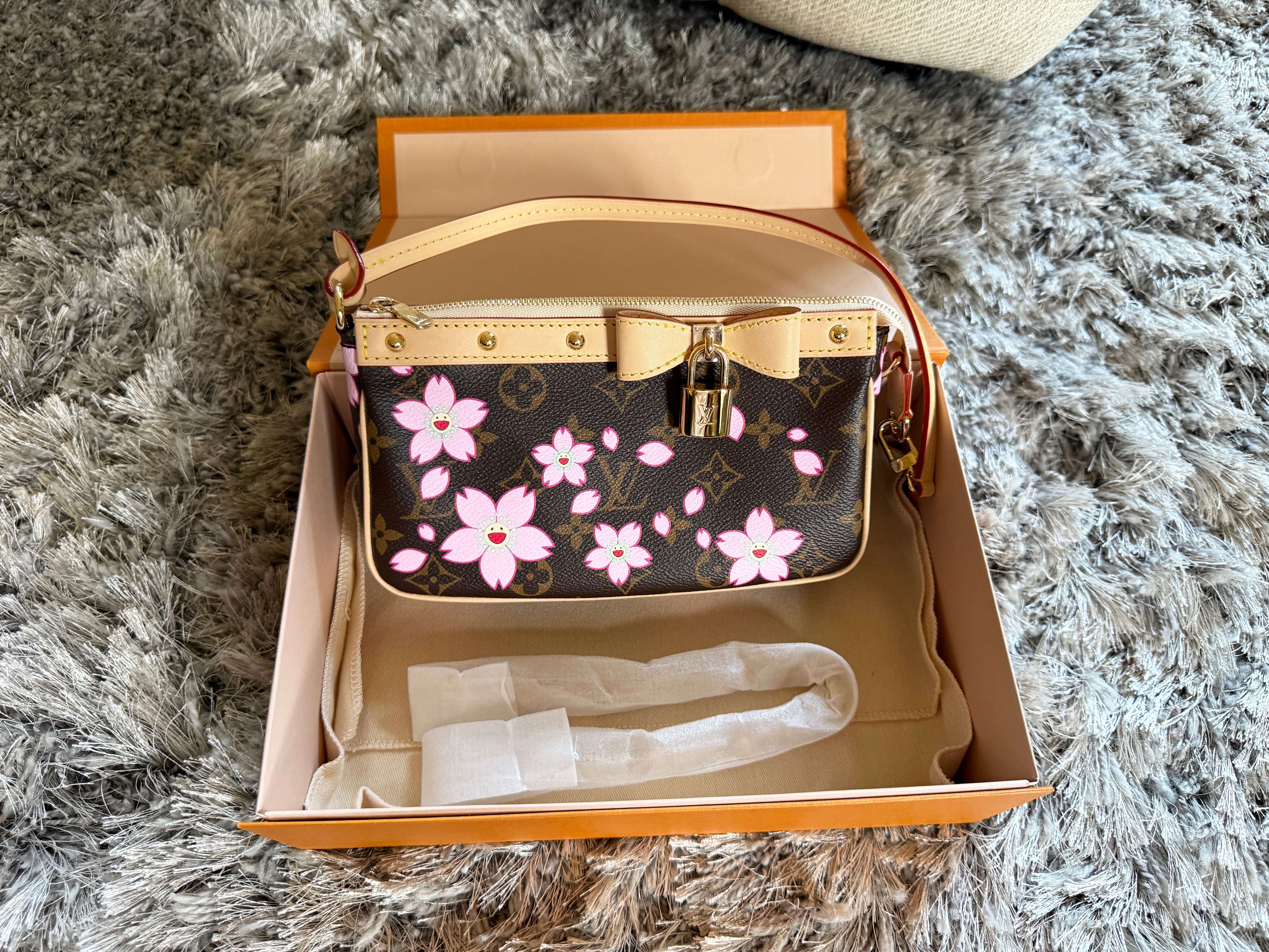 Louis Vuitton Pochette Accessoires