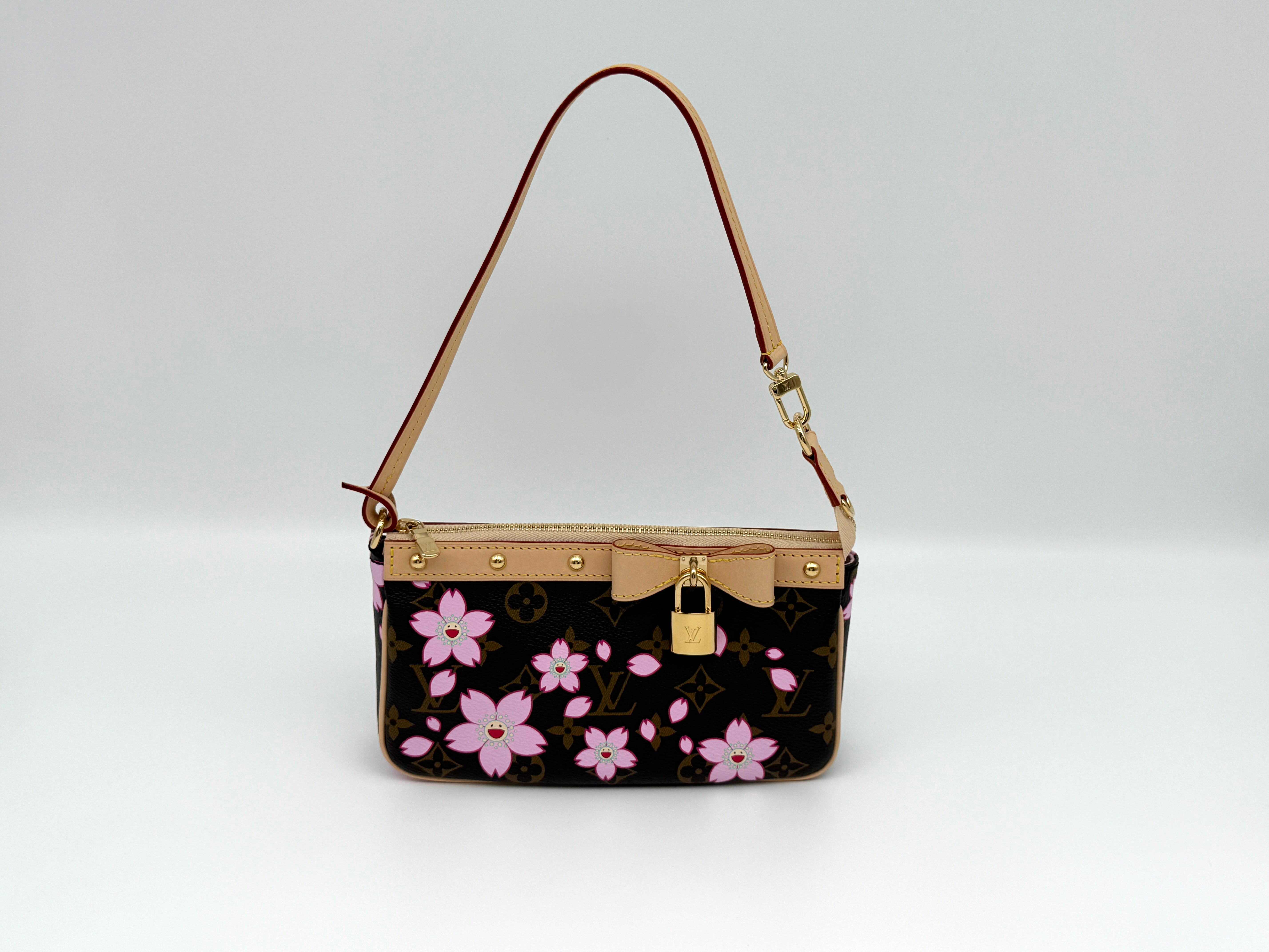 Louis Vuitton Pochette Accessoires