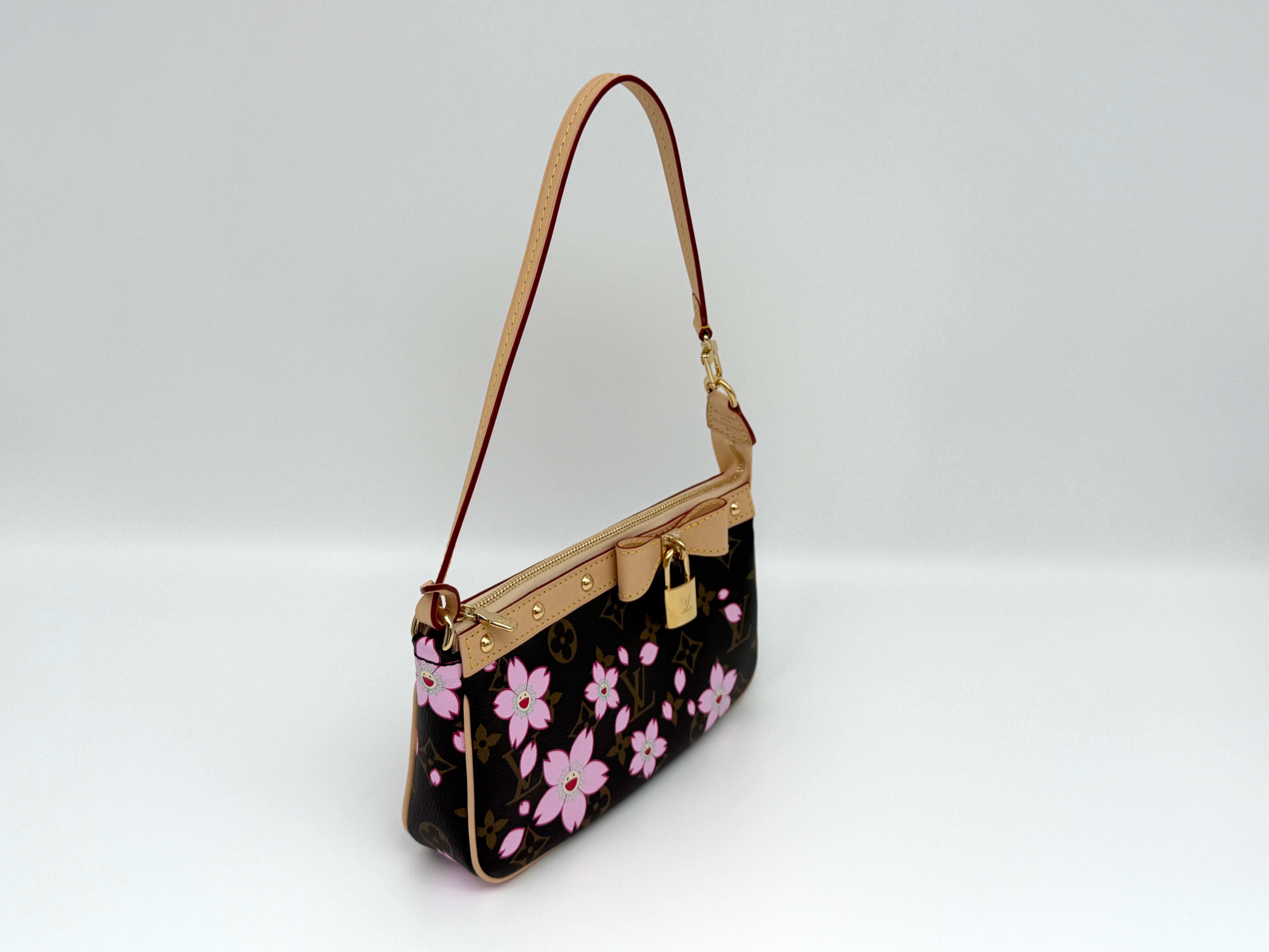 Louis Vuitton Pochette Accessoires