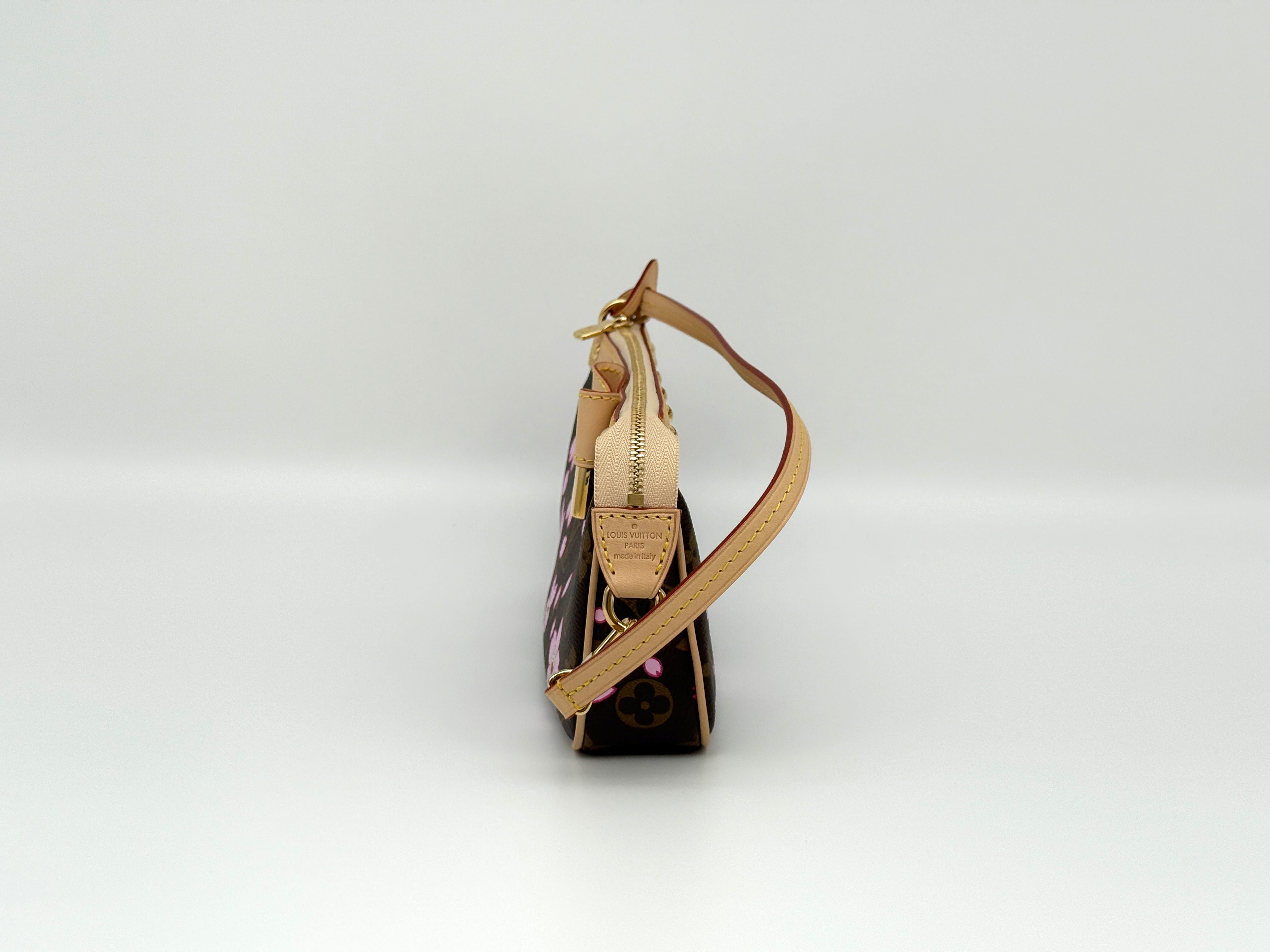 Louis Vuitton Pochette Accessoires