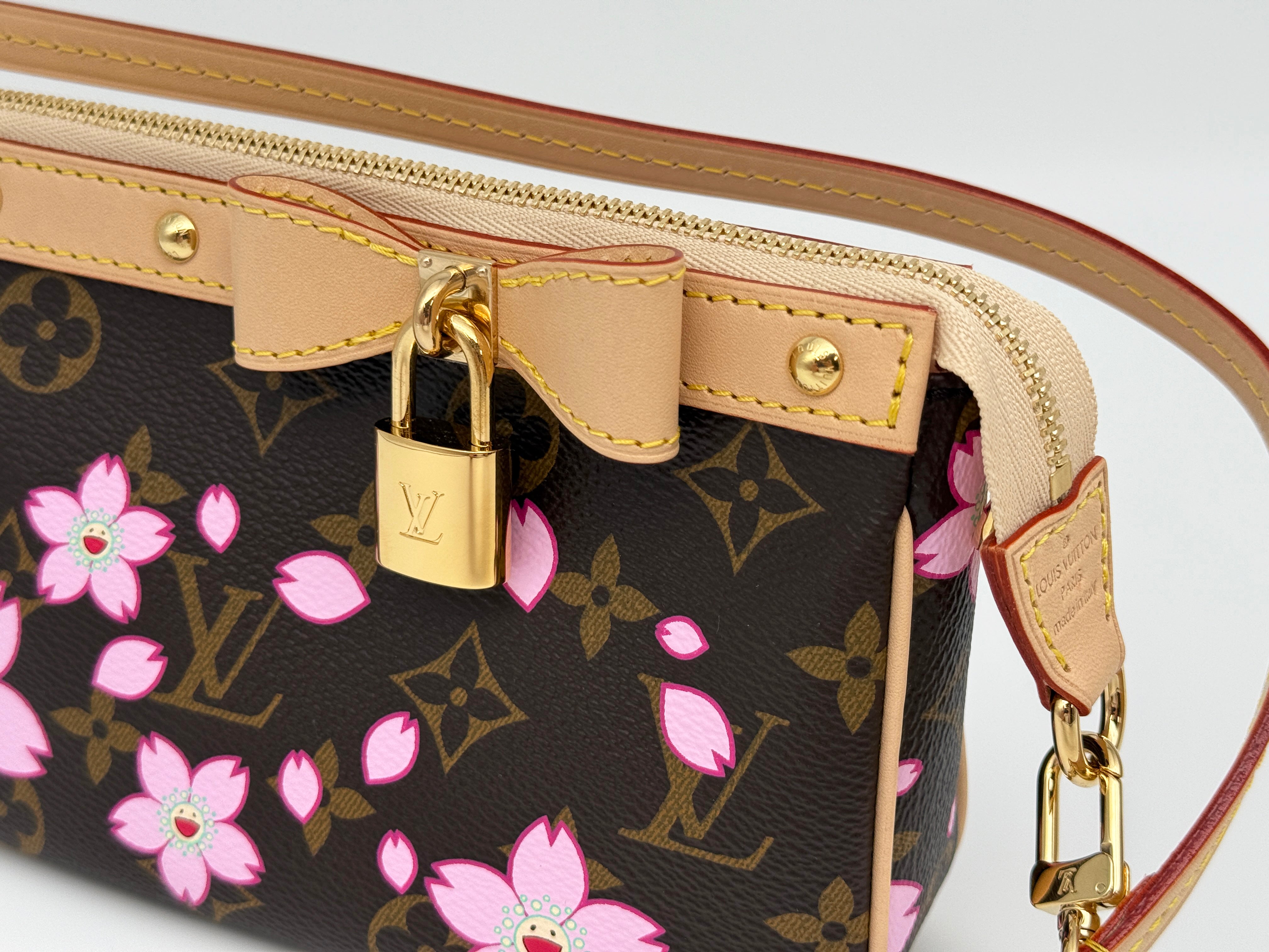 Louis Vuitton Pochette Accessoires