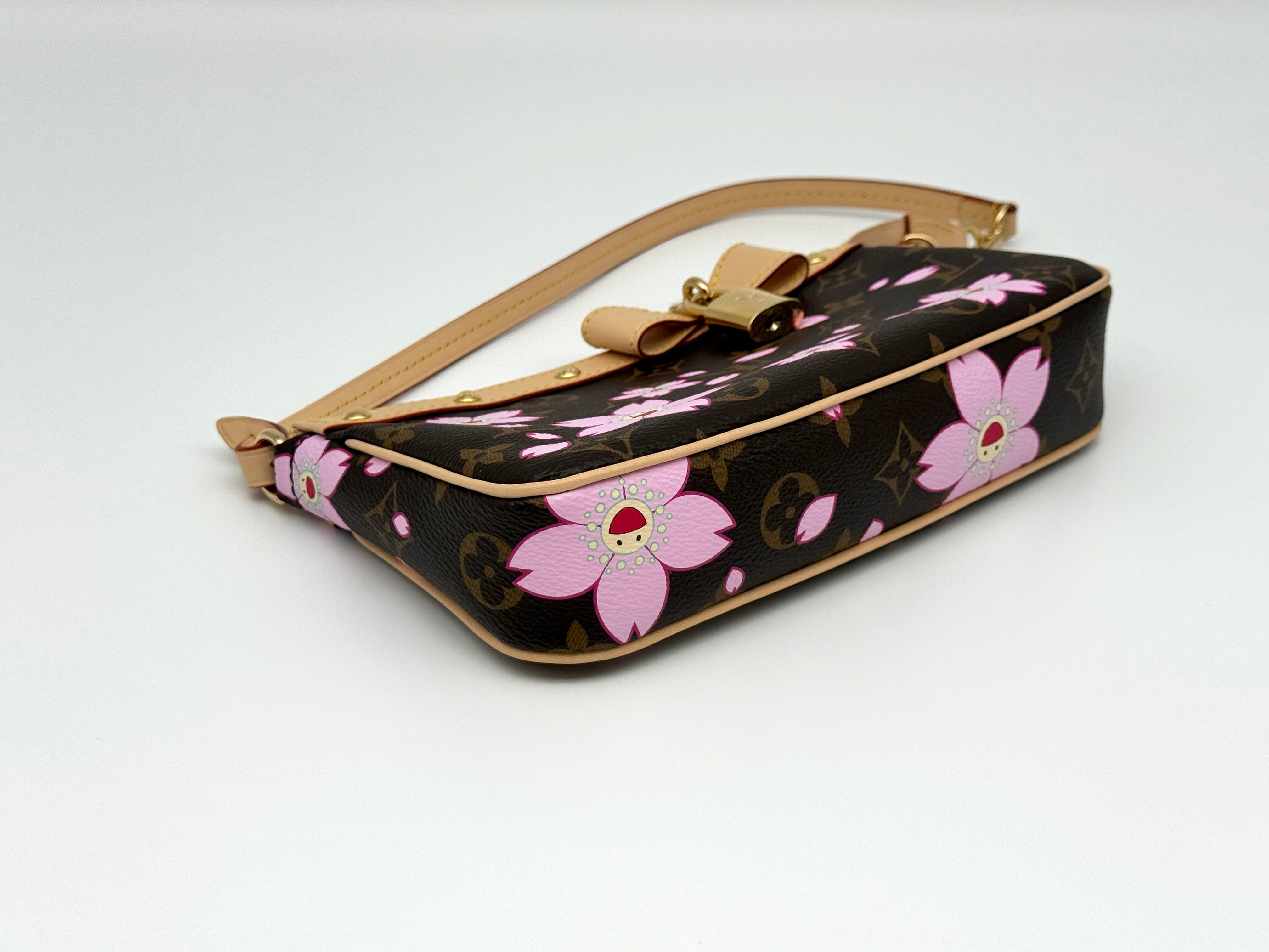 Louis Vuitton Pochette Accessoires