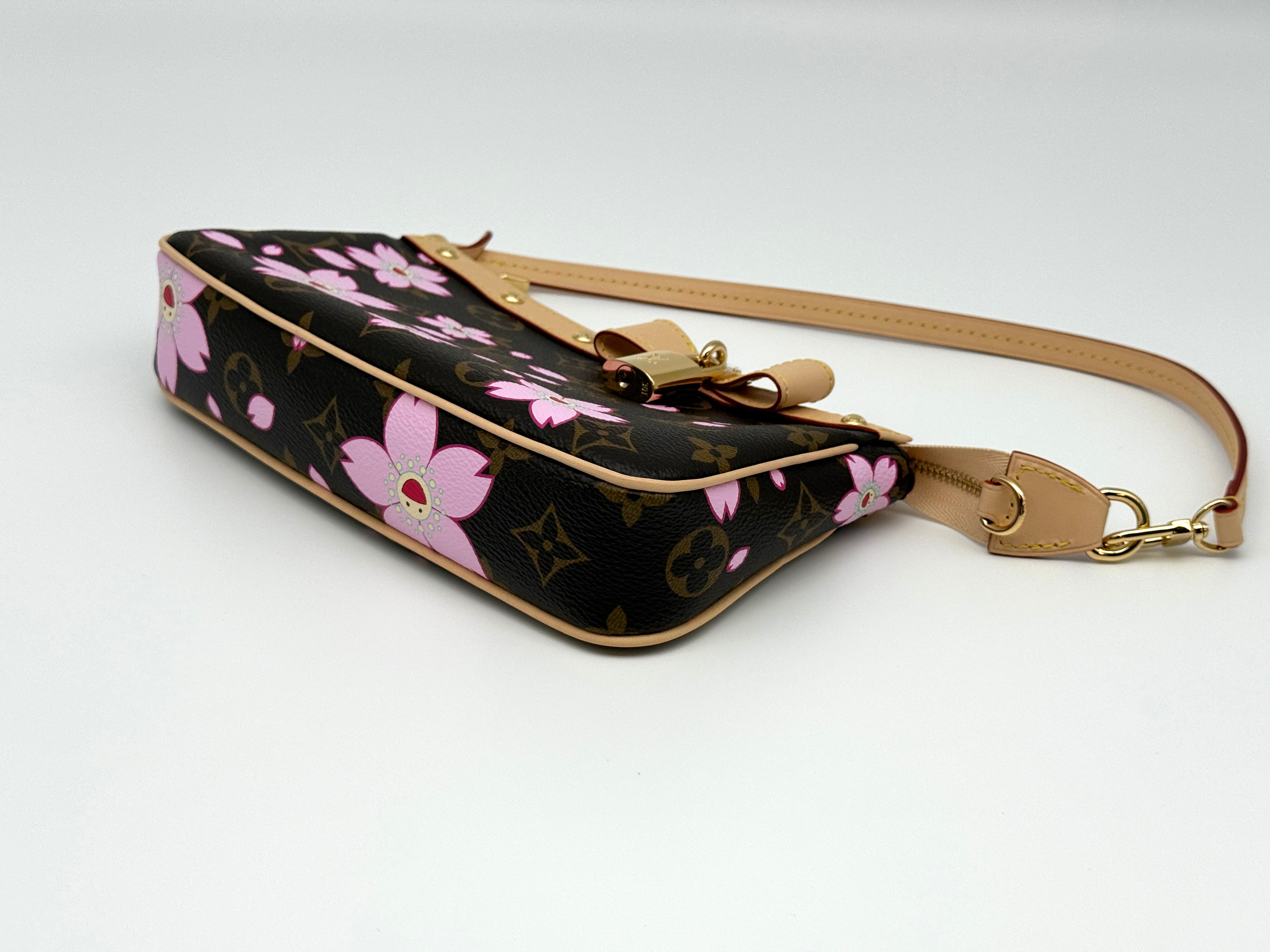 Louis Vuitton Pochette Accessoires