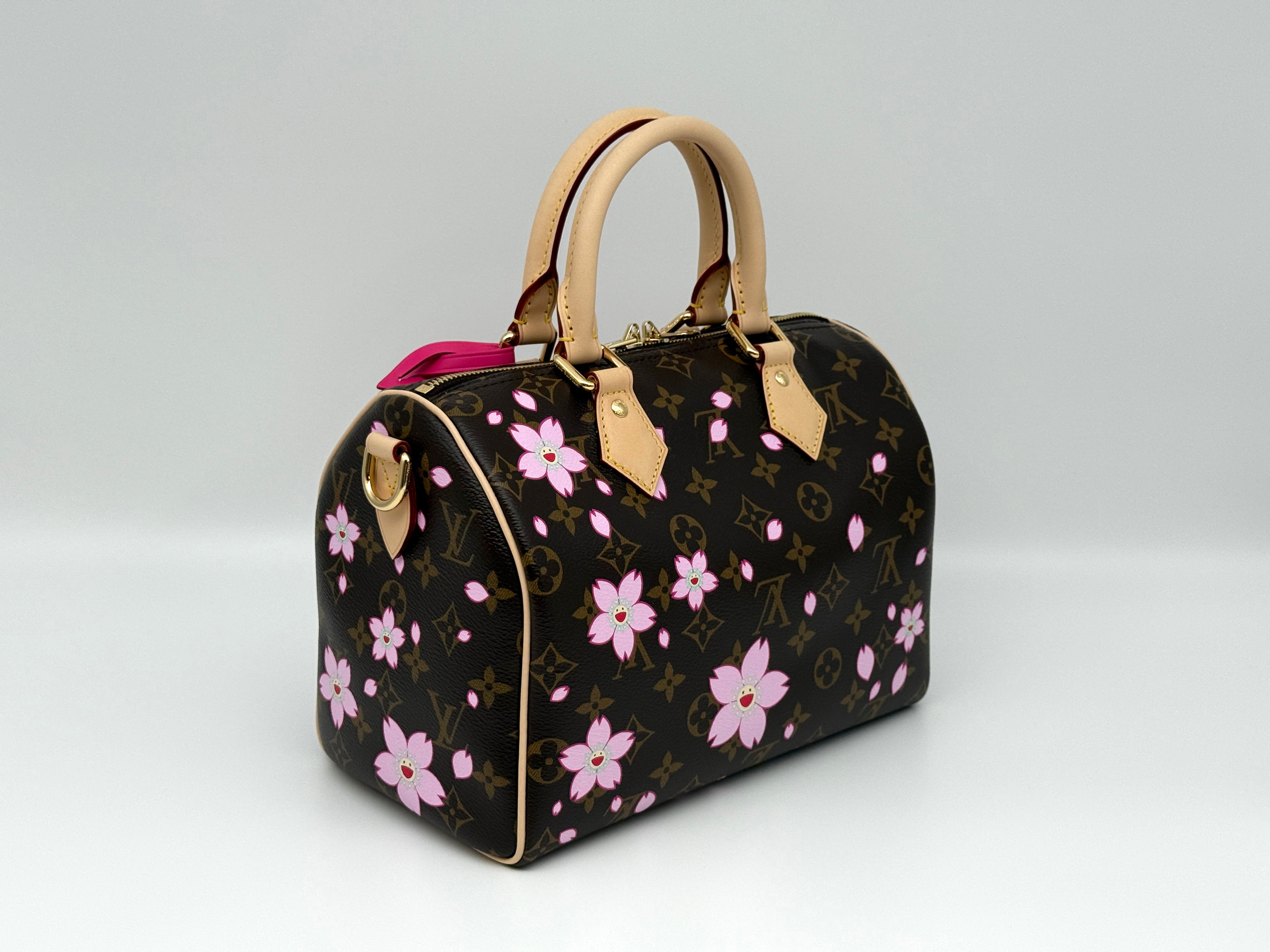 Louis Vuitton Speedy 25 Bandouliere