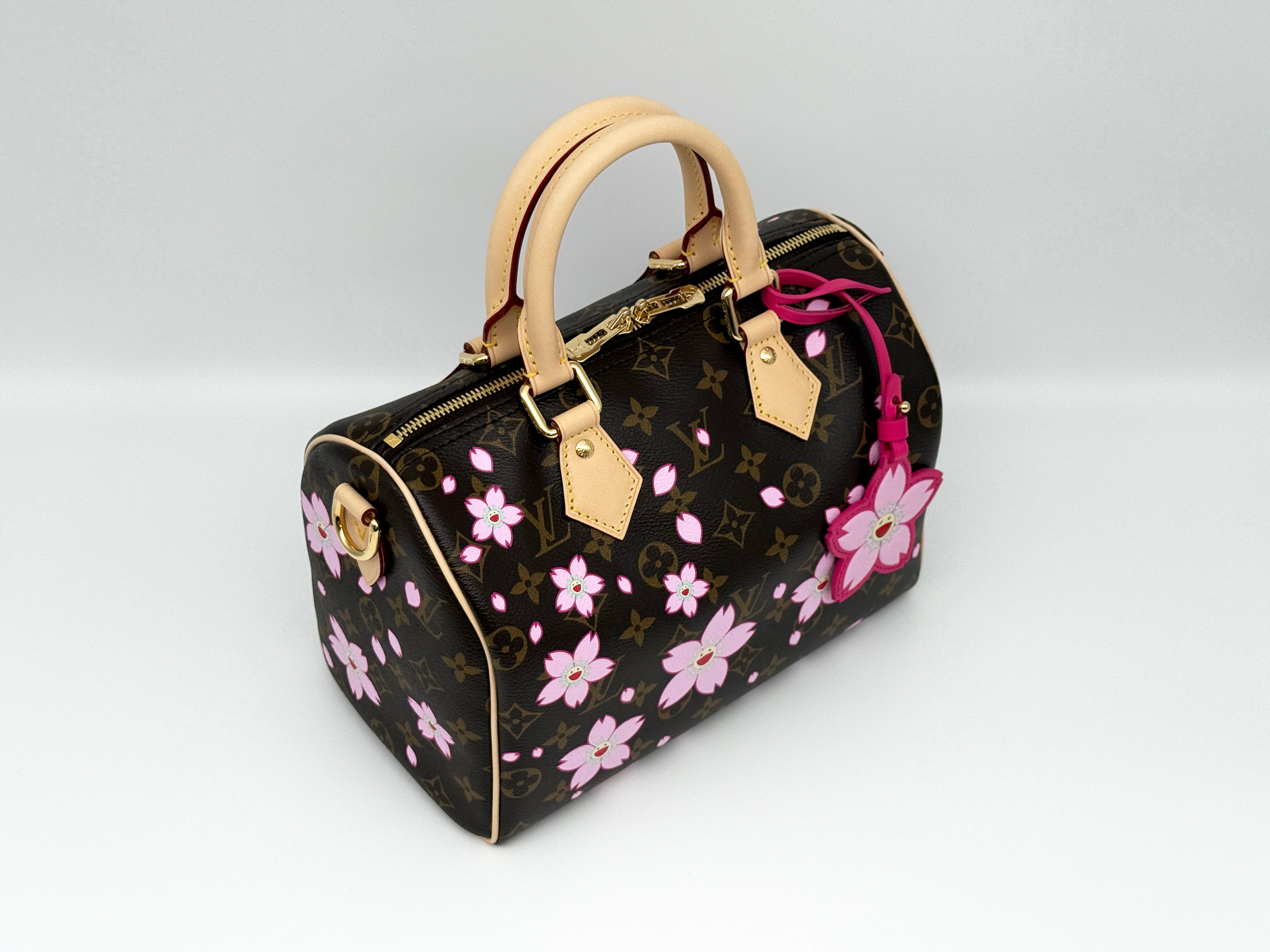 Louis Vuitton Speedy 25 Bandouliere