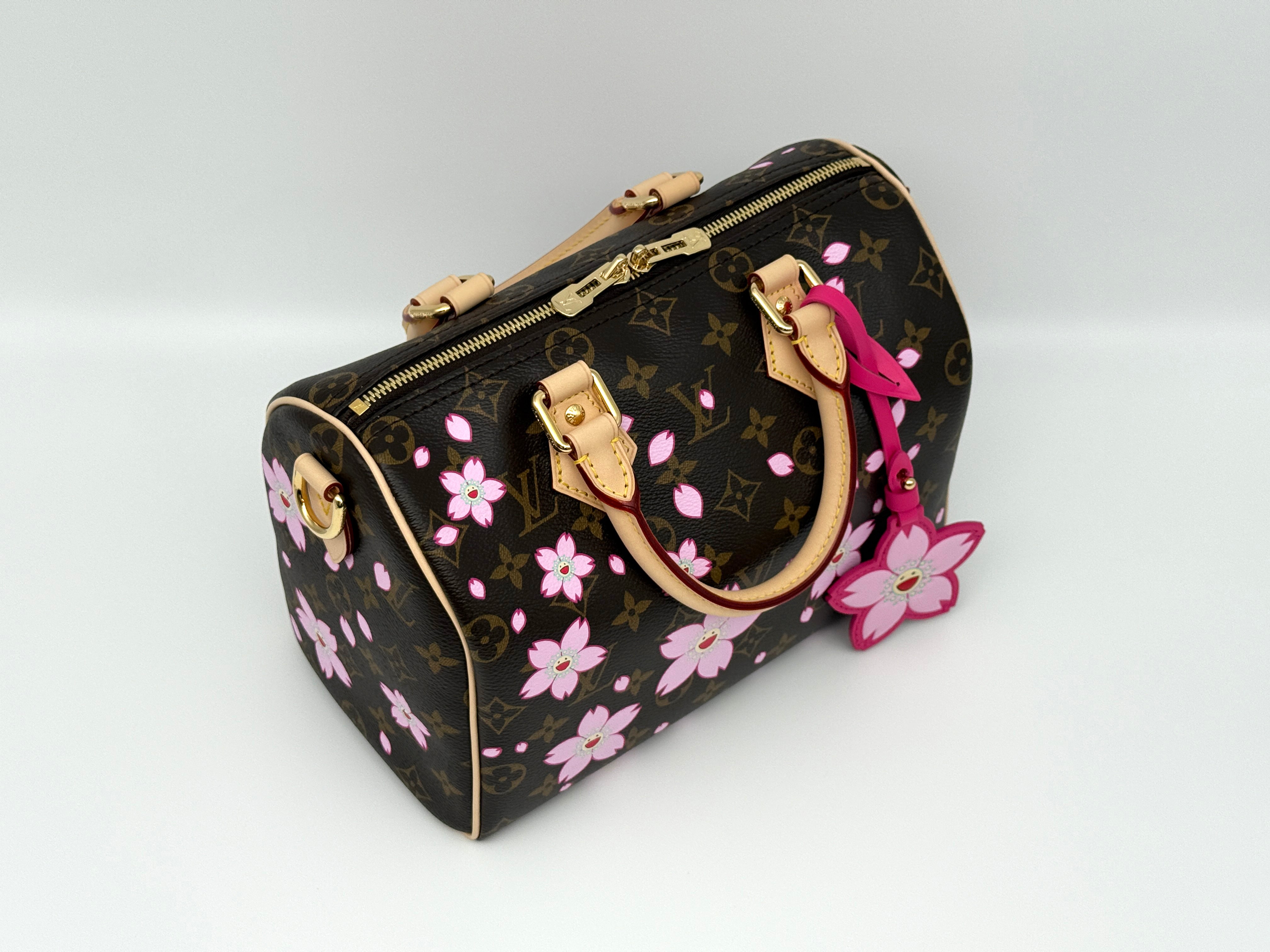 Louis Vuitton Speedy 25 Bandouliere