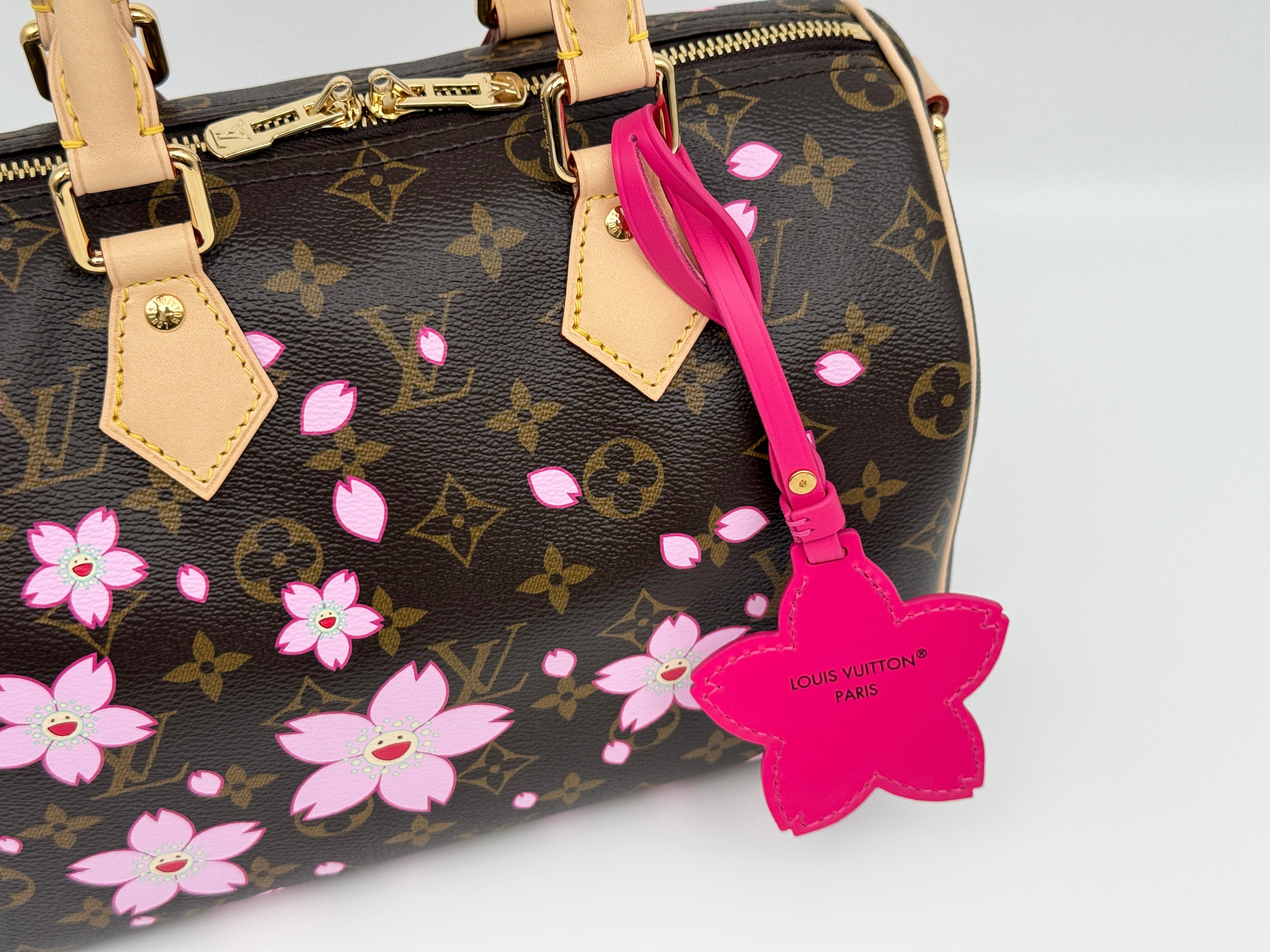 Louis Vuitton Speedy 25 Bandouliere