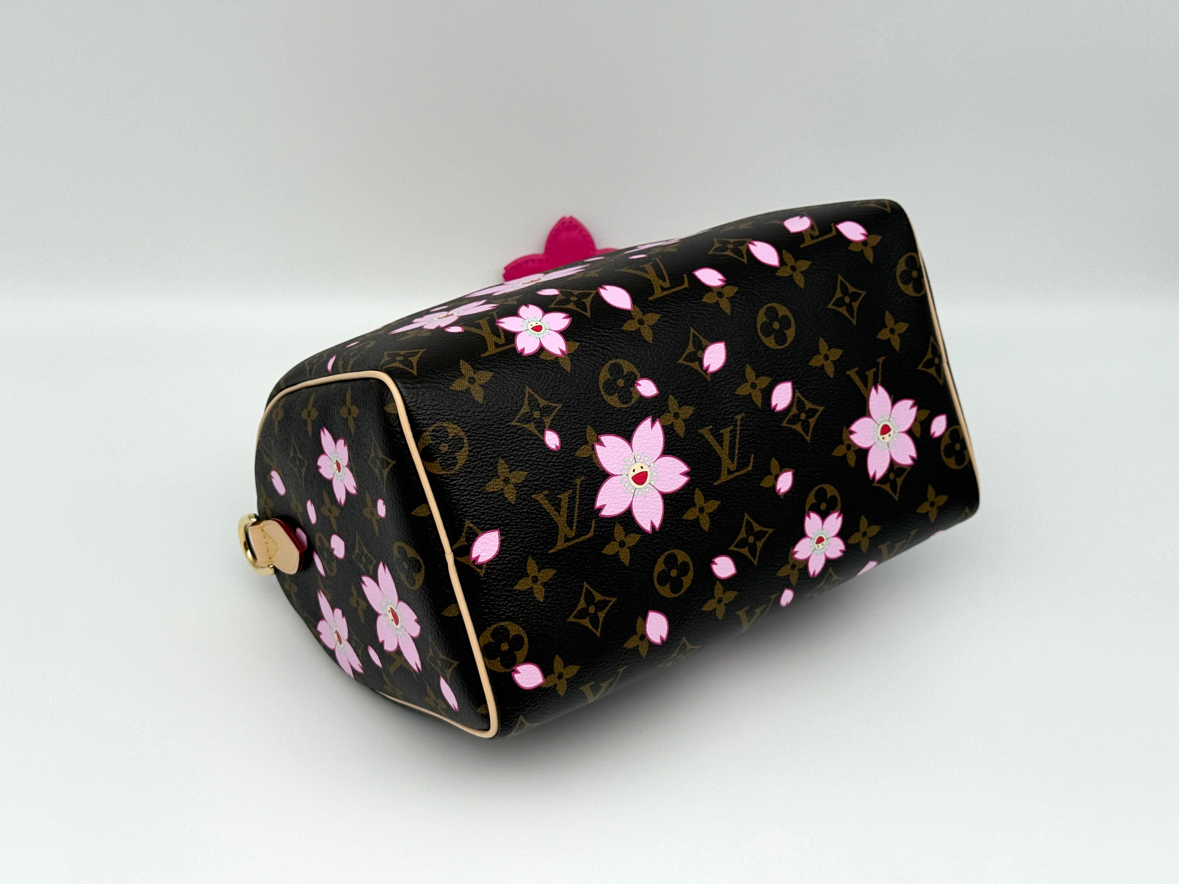 Louis Vuitton Speedy 25 Bandouliere