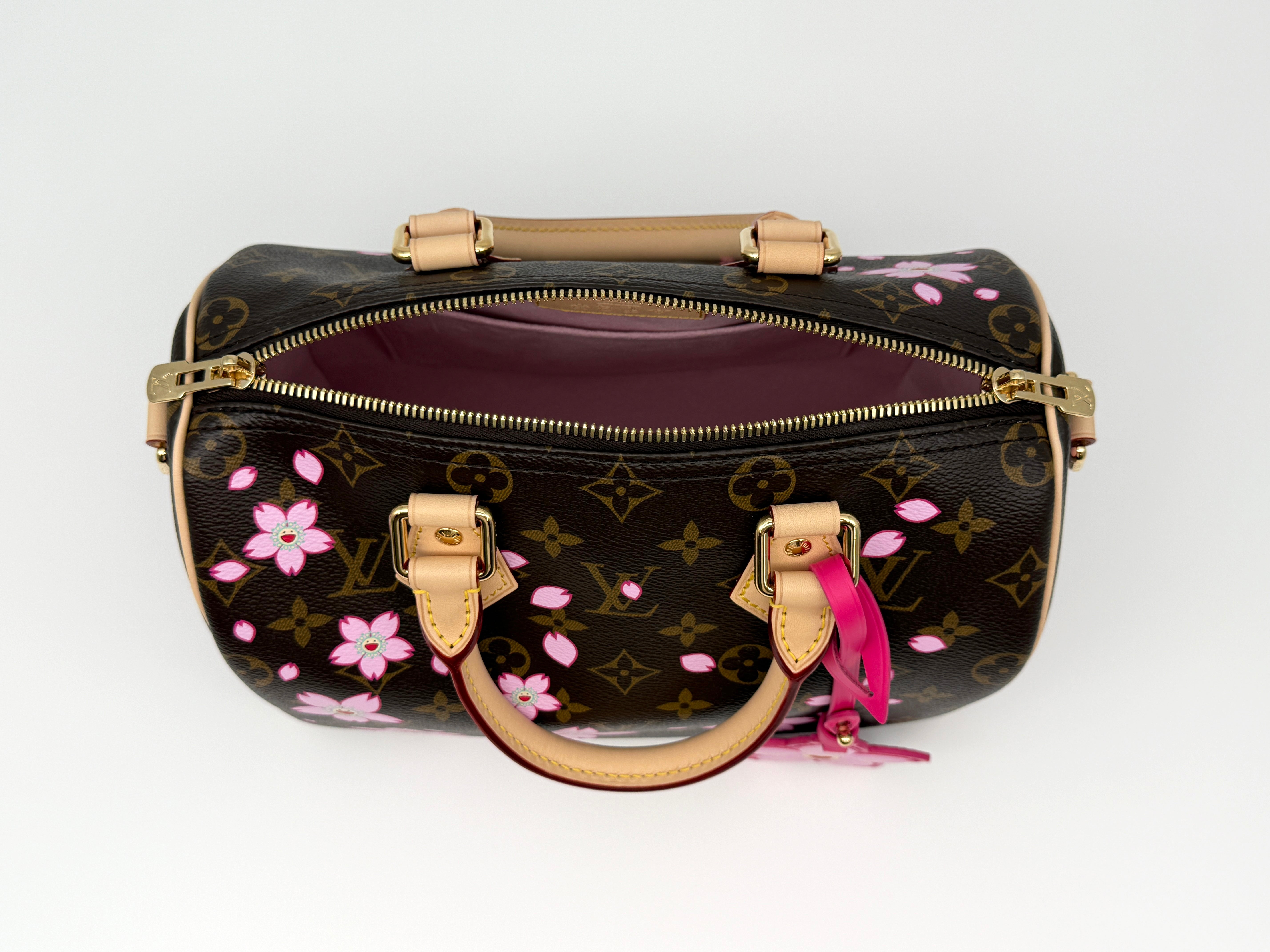 Louis Vuitton Speedy 25 Bandouliere