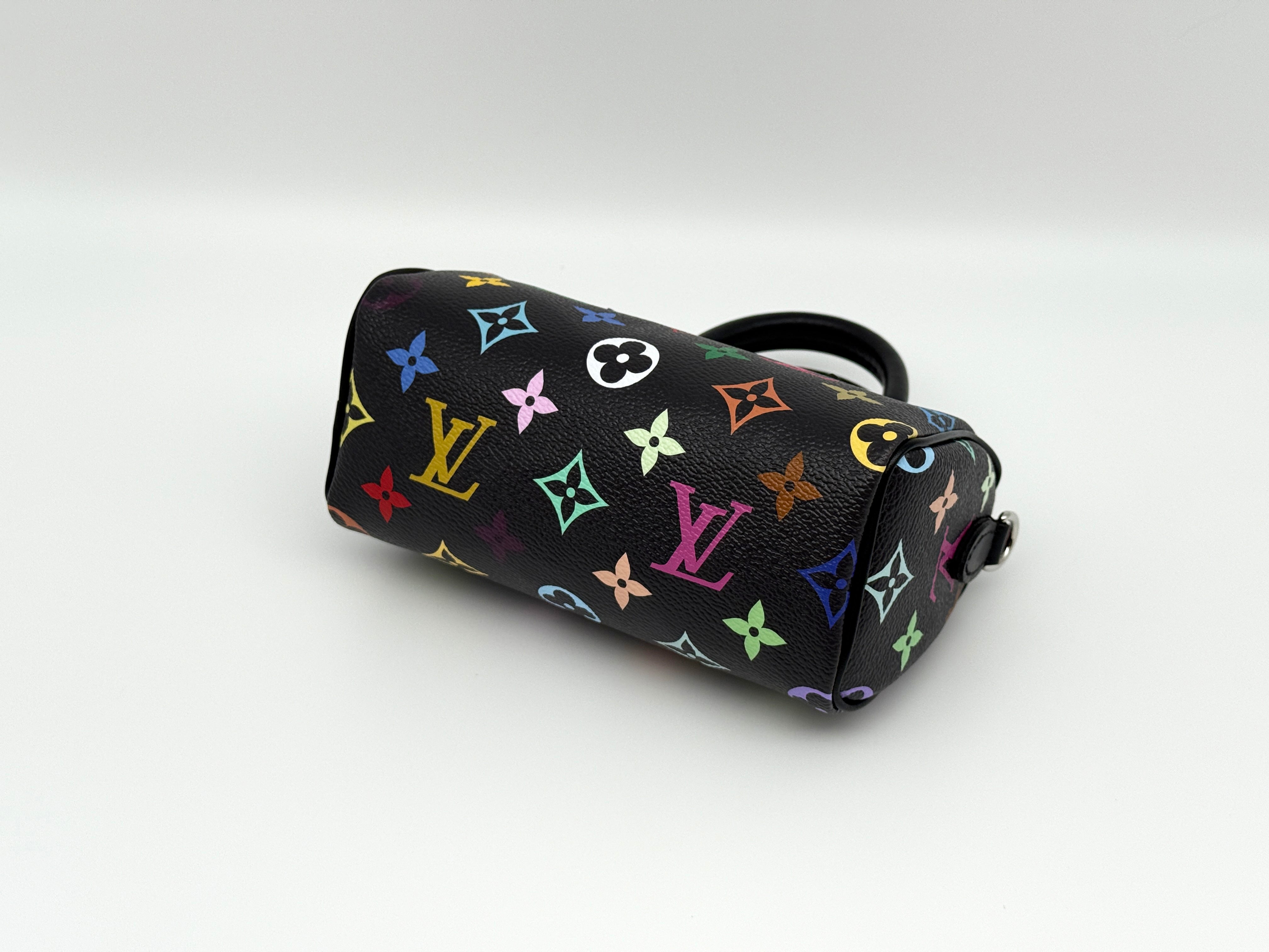 Louis Vuitton Nano Speedy