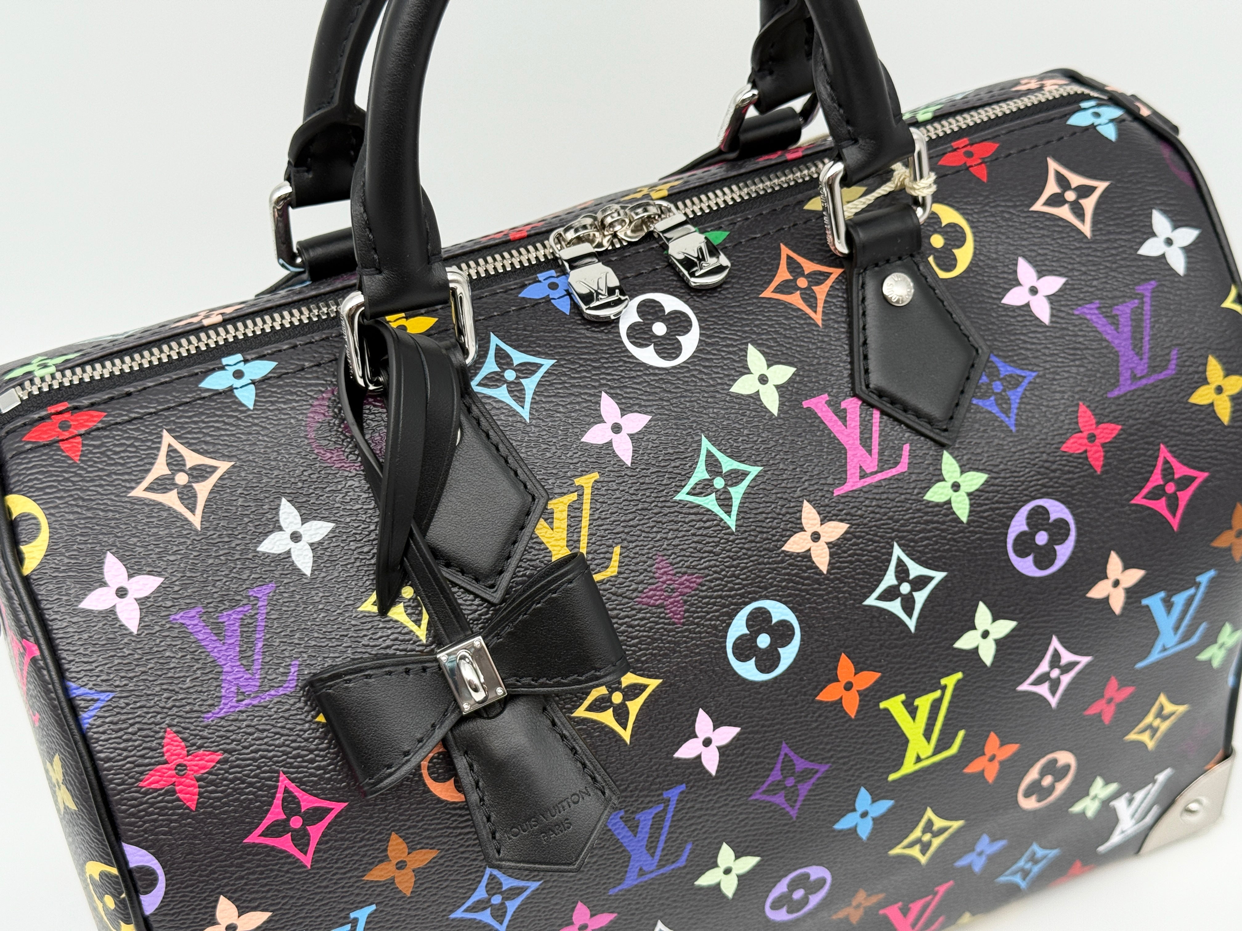 Louis Vuitton Speedy Soft 30 Bag