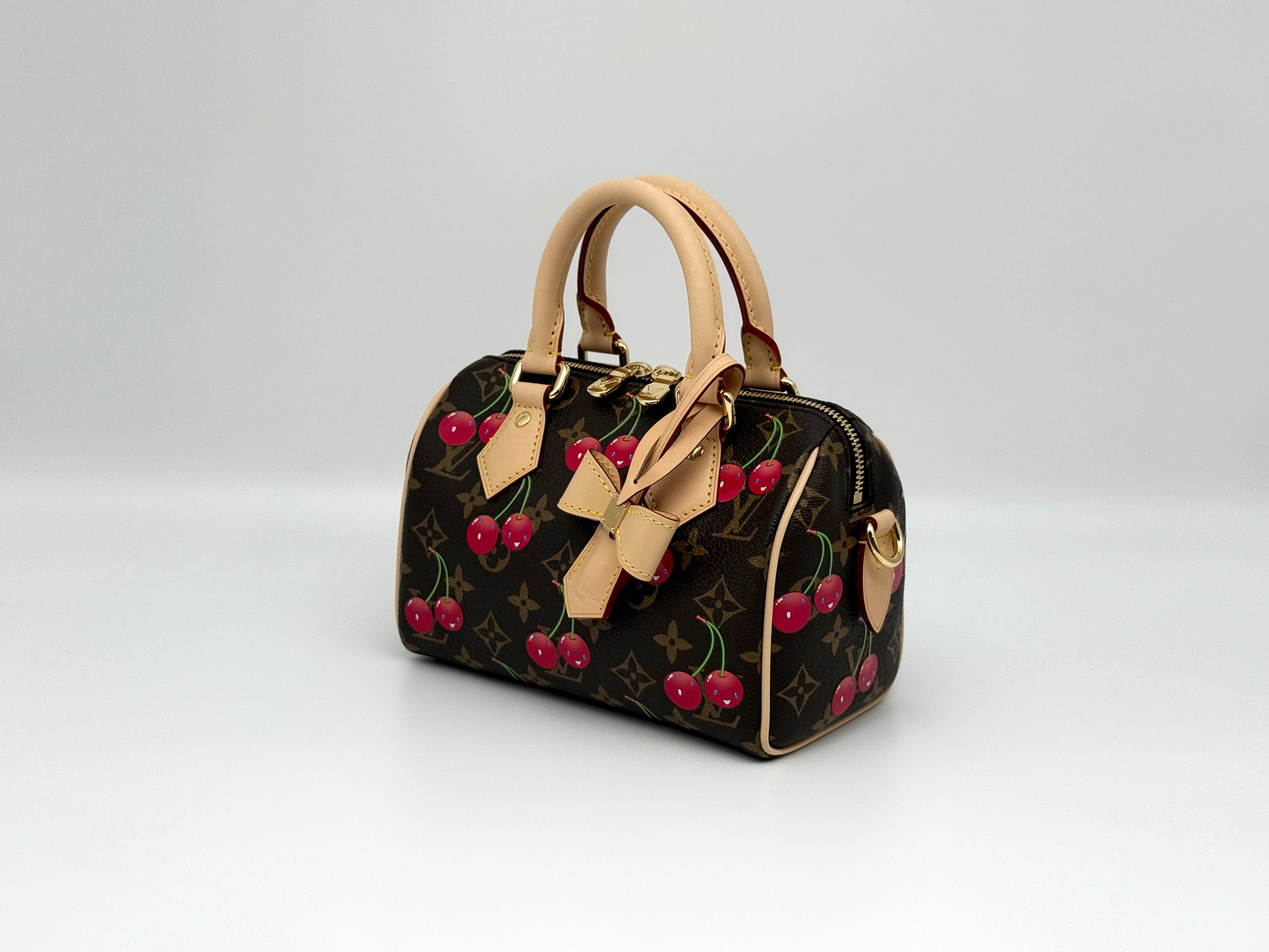 Louis Vuitton Speedy 20 Bandouliere