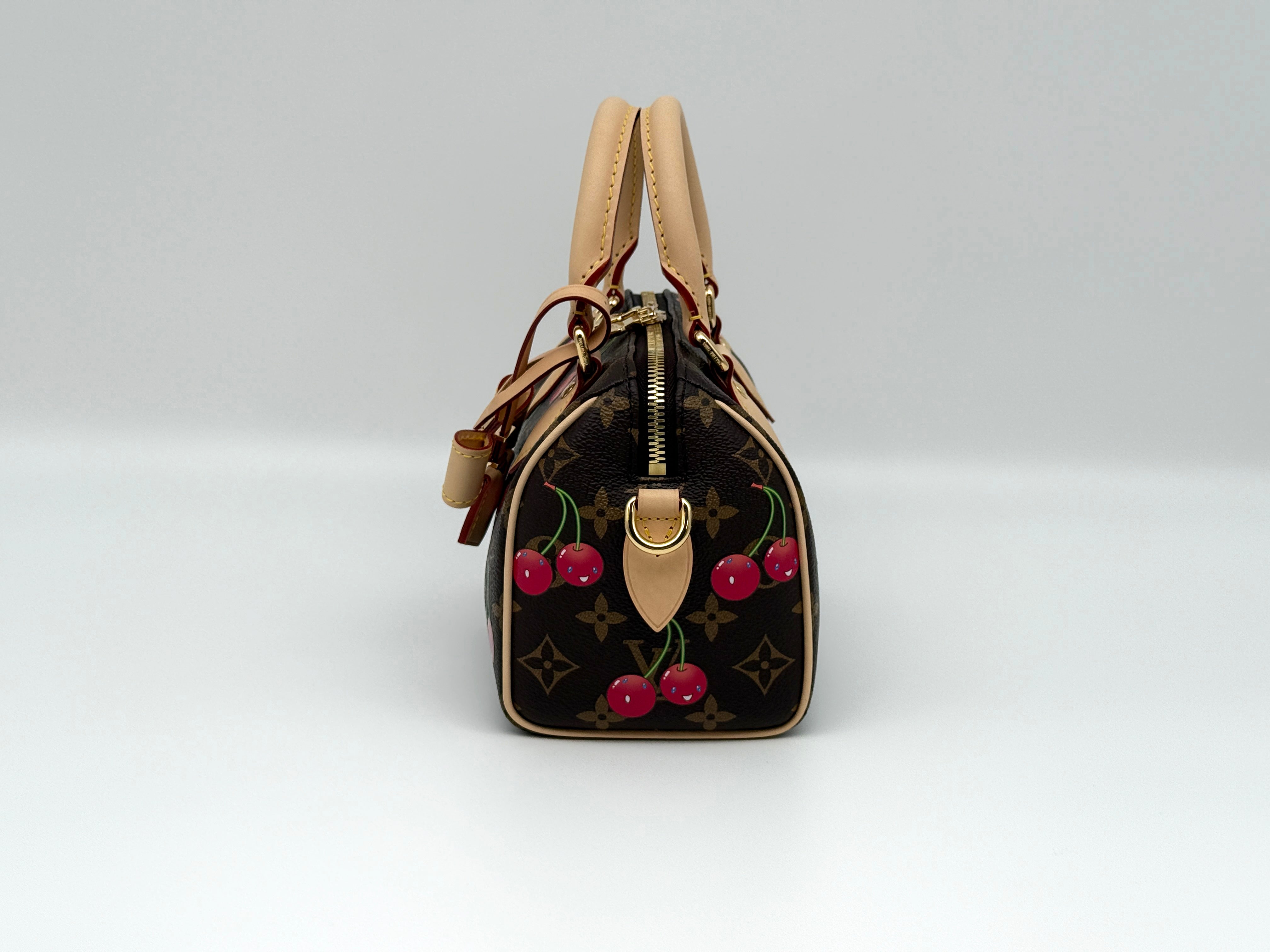 Louis Vuitton Speedy 20 Bandouliere