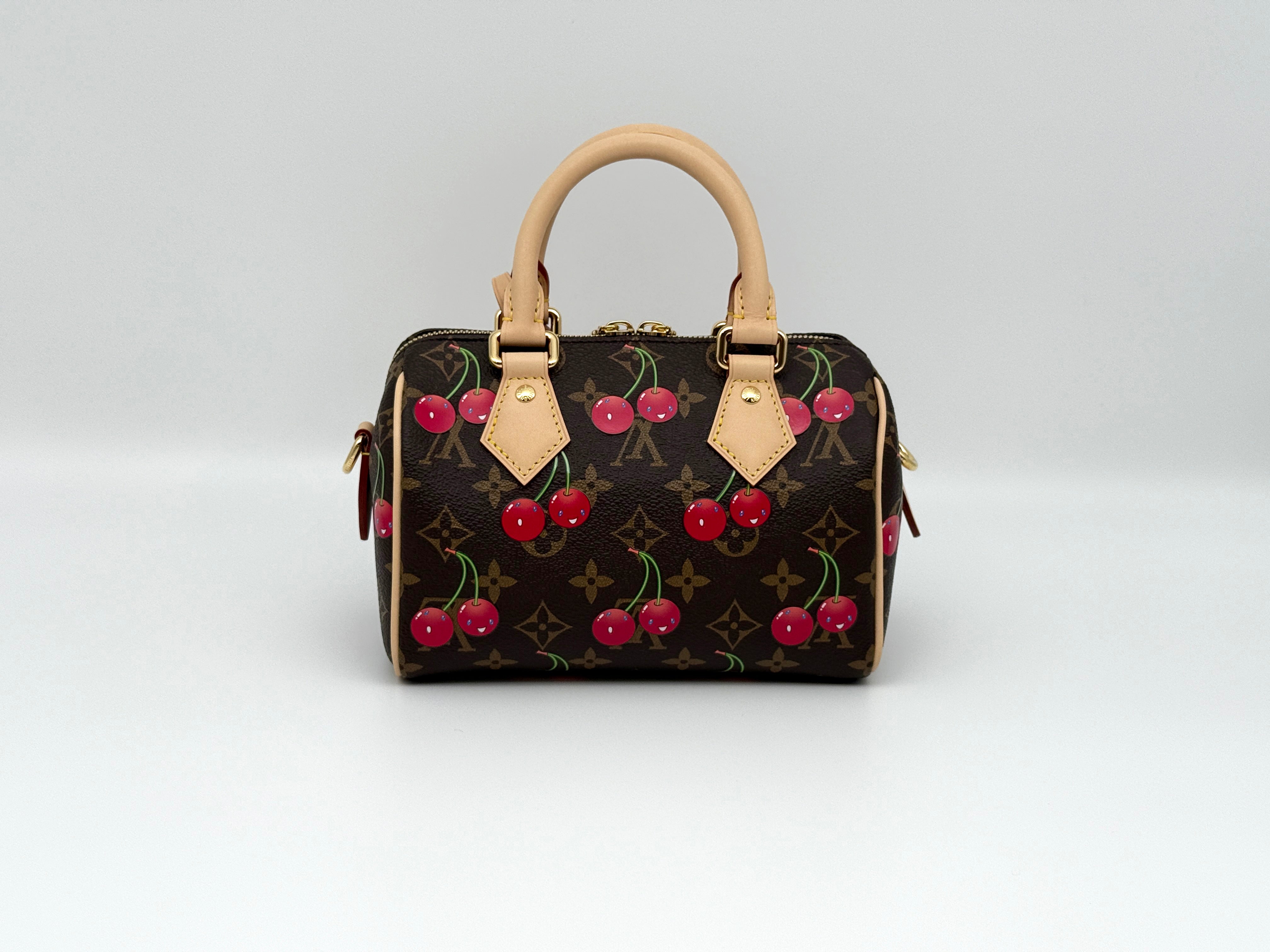 Louis Vuitton Speedy 20 Bandouliere