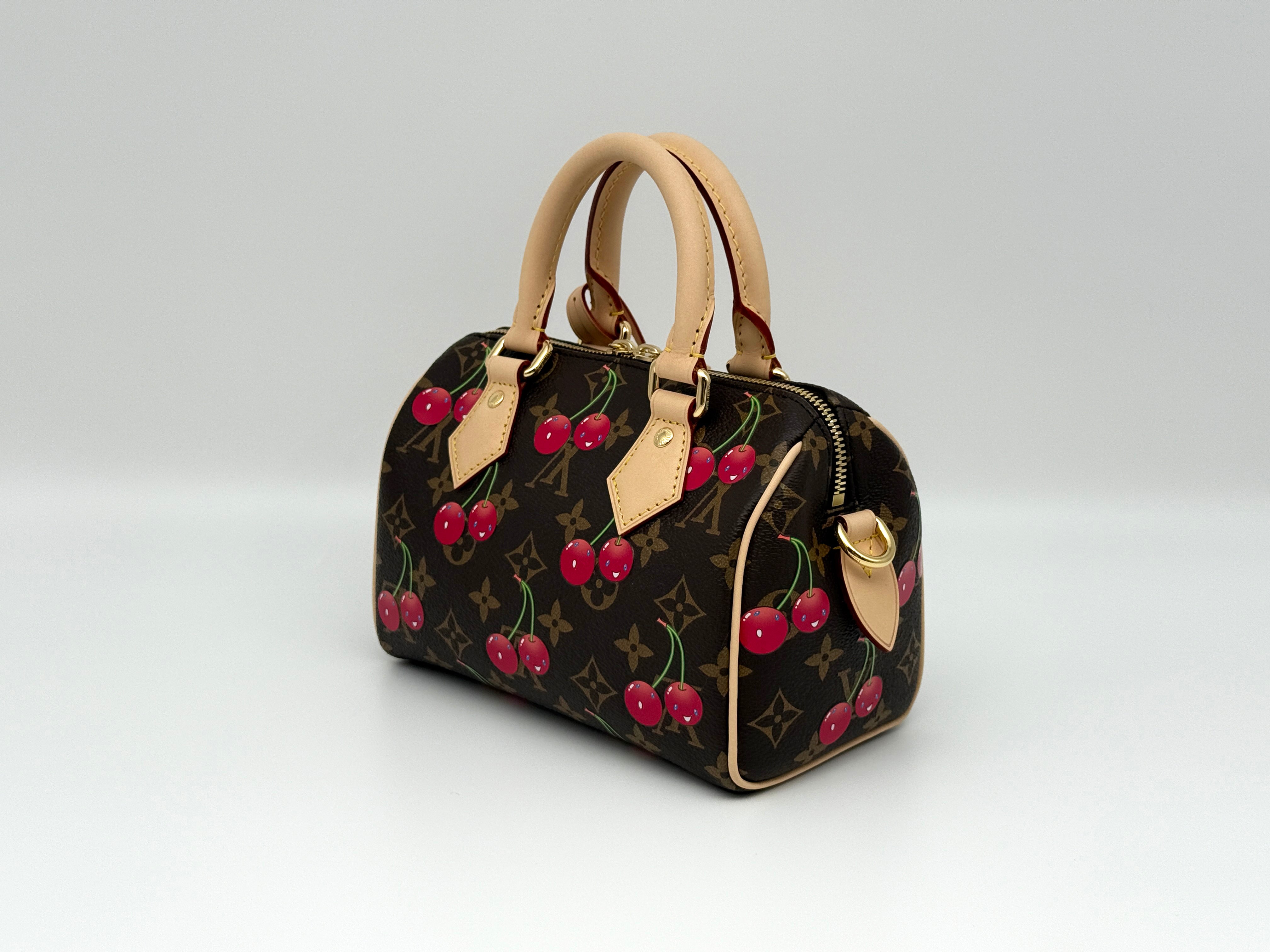 Louis Vuitton Speedy 20 Bandouliere