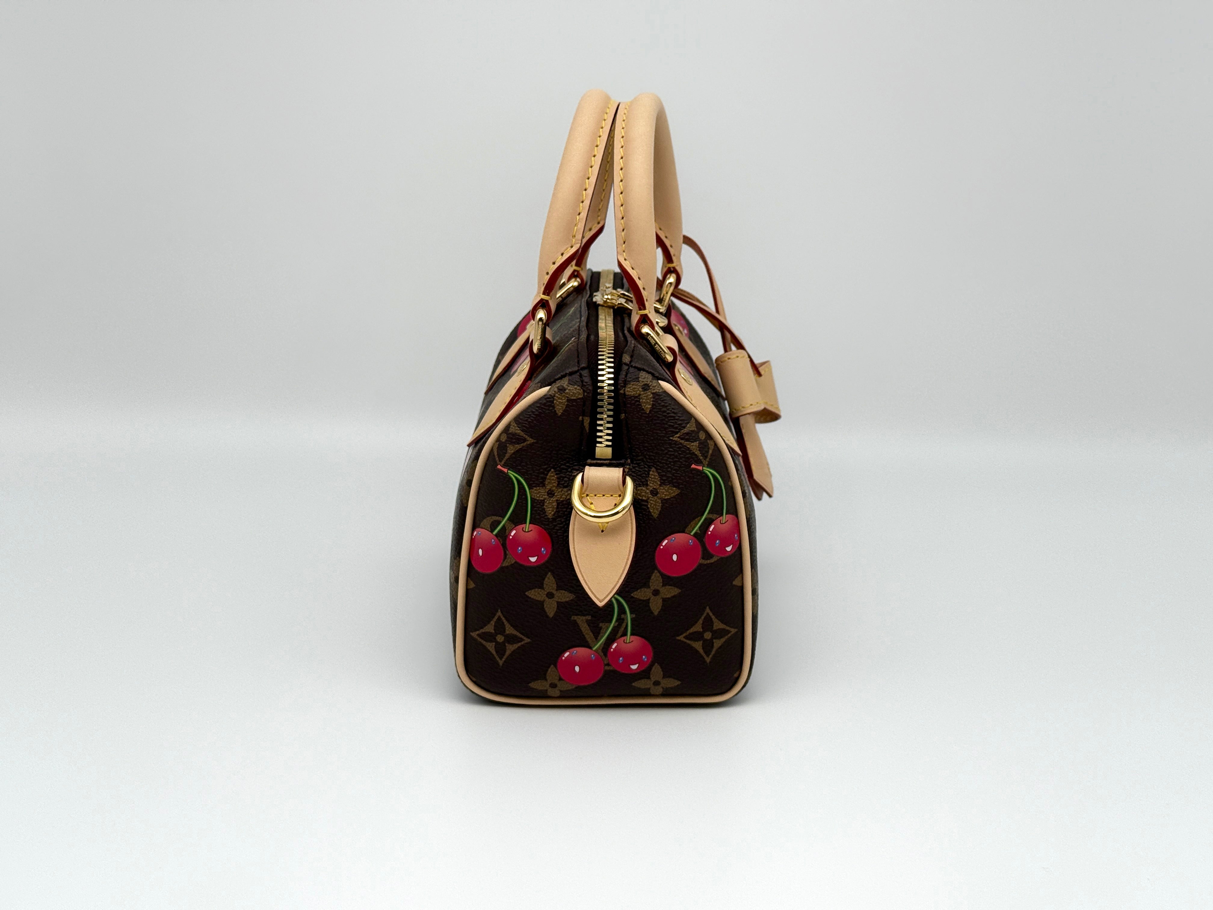 Louis Vuitton Speedy 20 Bandouliere
