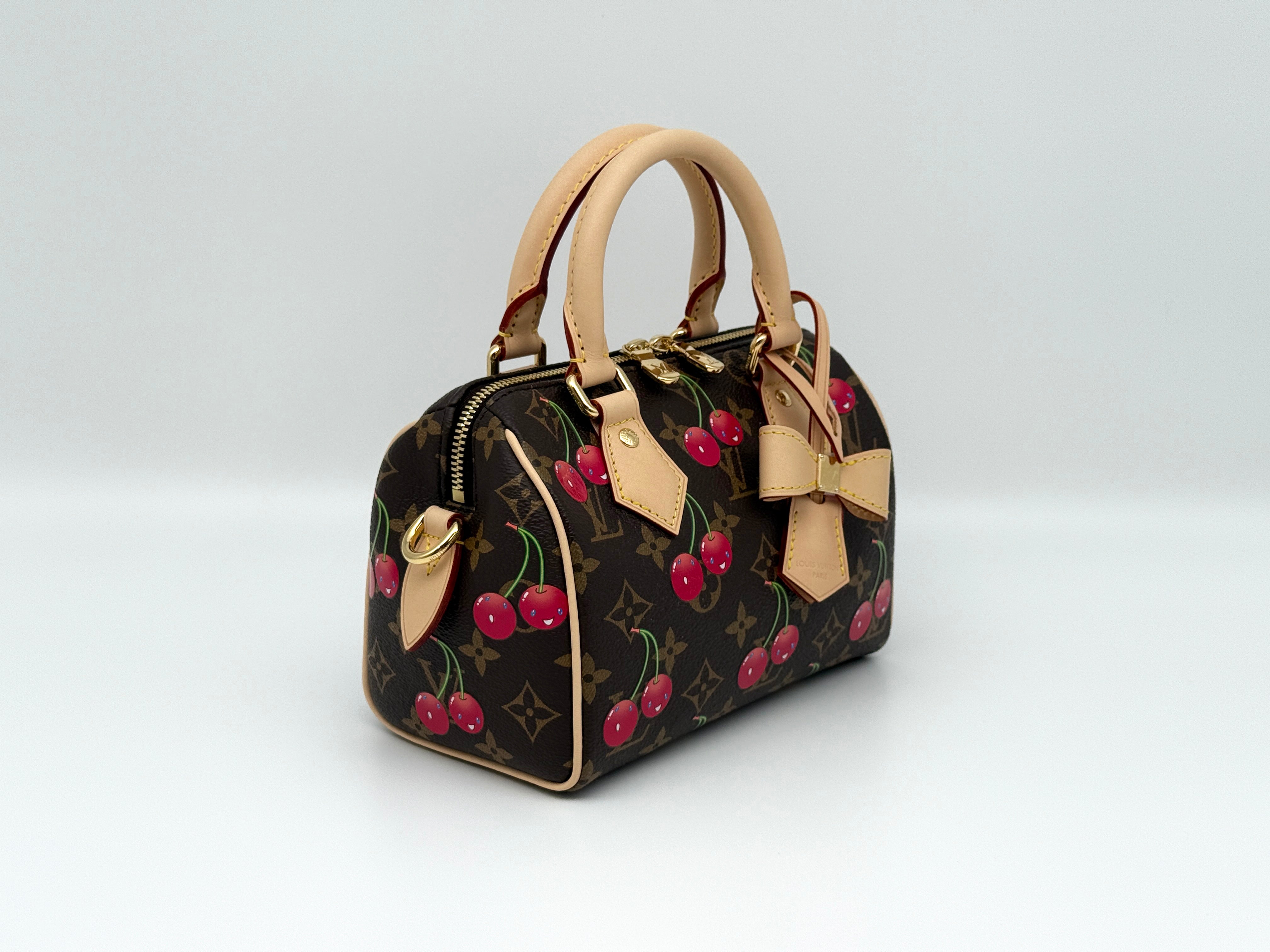 Louis Vuitton Speedy 20 Bandouliere