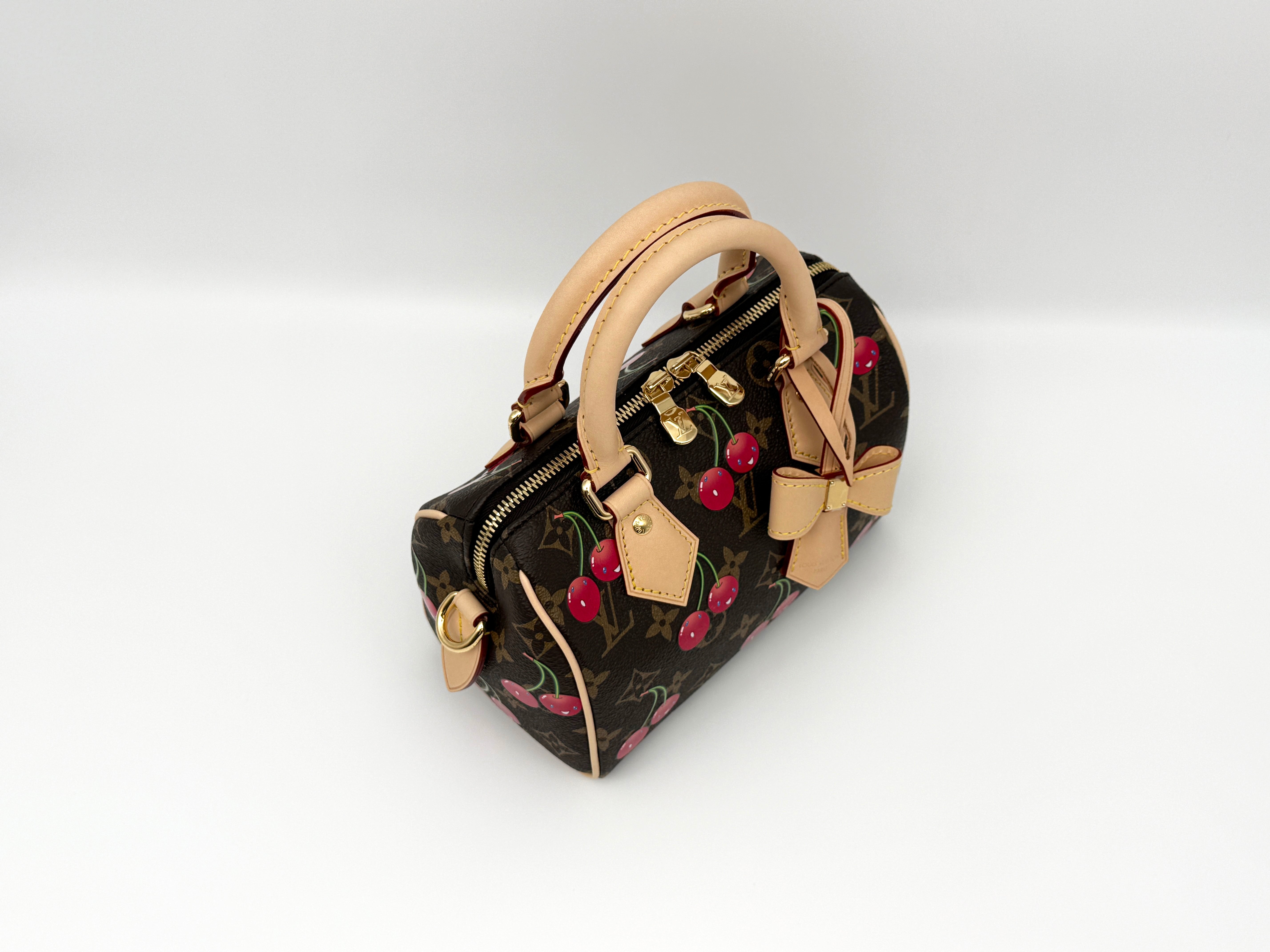 Louis Vuitton Speedy 20 Bandouliere