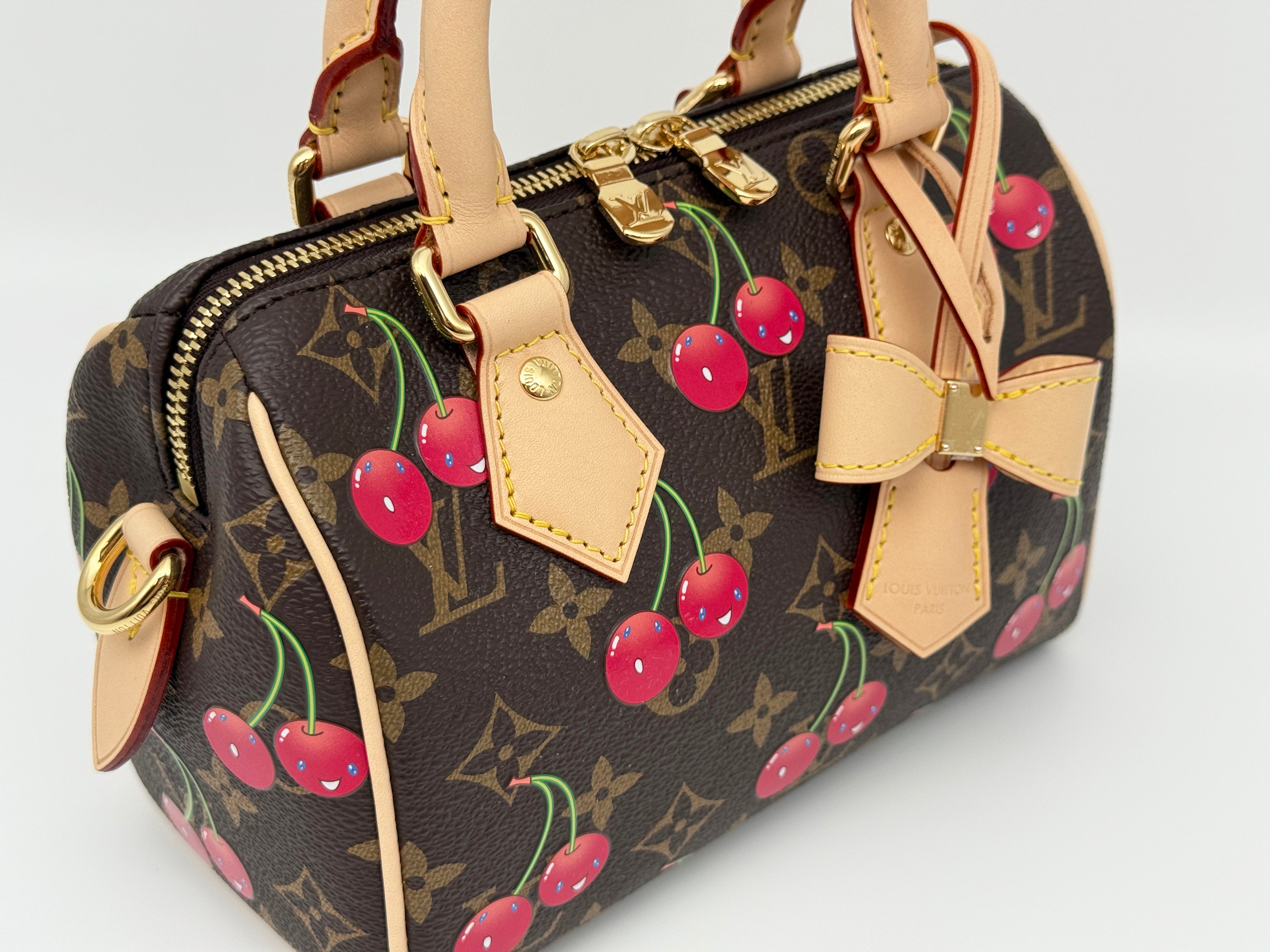 Louis Vuitton Speedy 20 Bandouliere