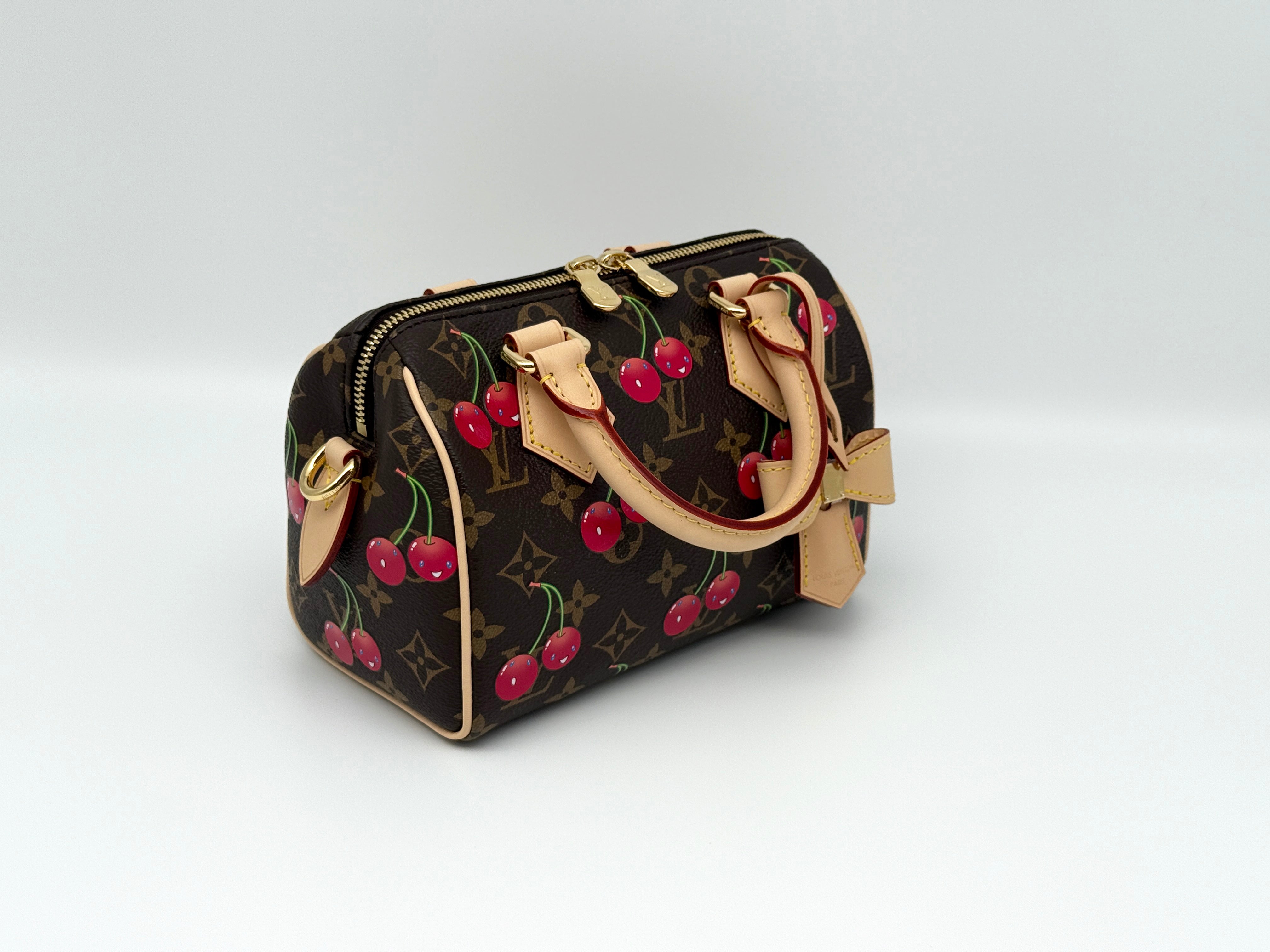 Louis Vuitton Speedy 20 Bandouliere