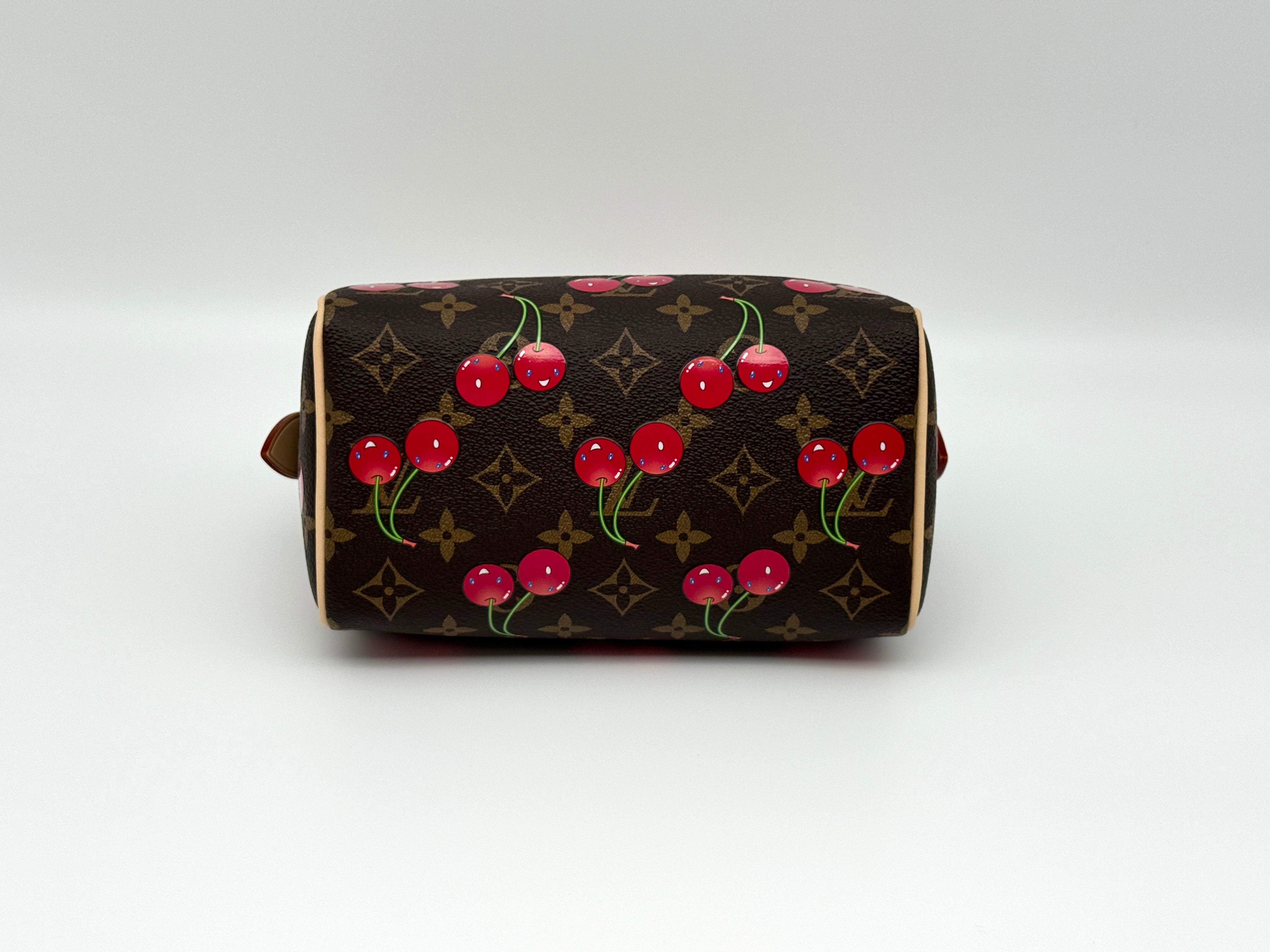 Louis Vuitton Speedy 20 Bandouliere