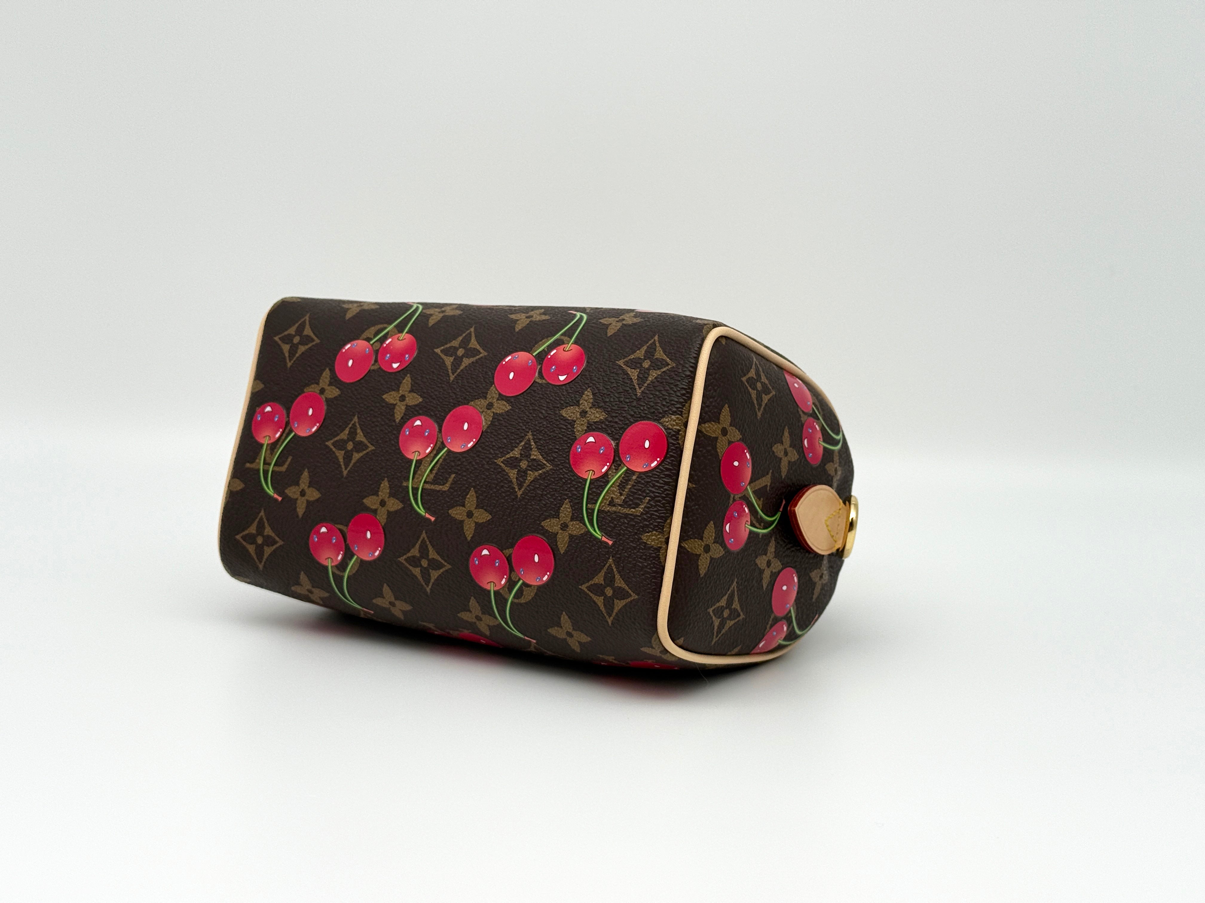 Louis Vuitton Speedy 20 Bandouliere