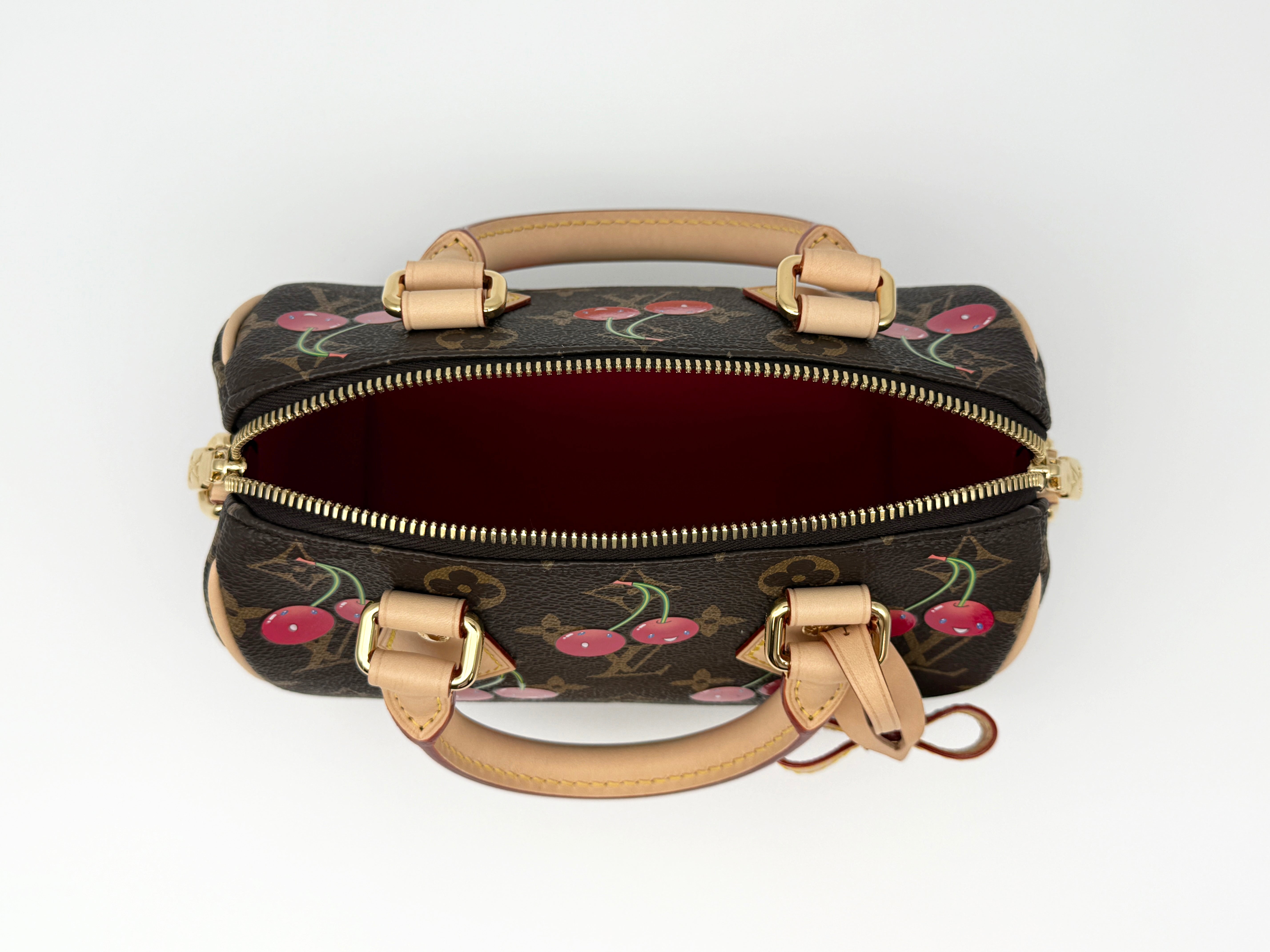 Louis Vuitton Speedy 20 Bandouliere