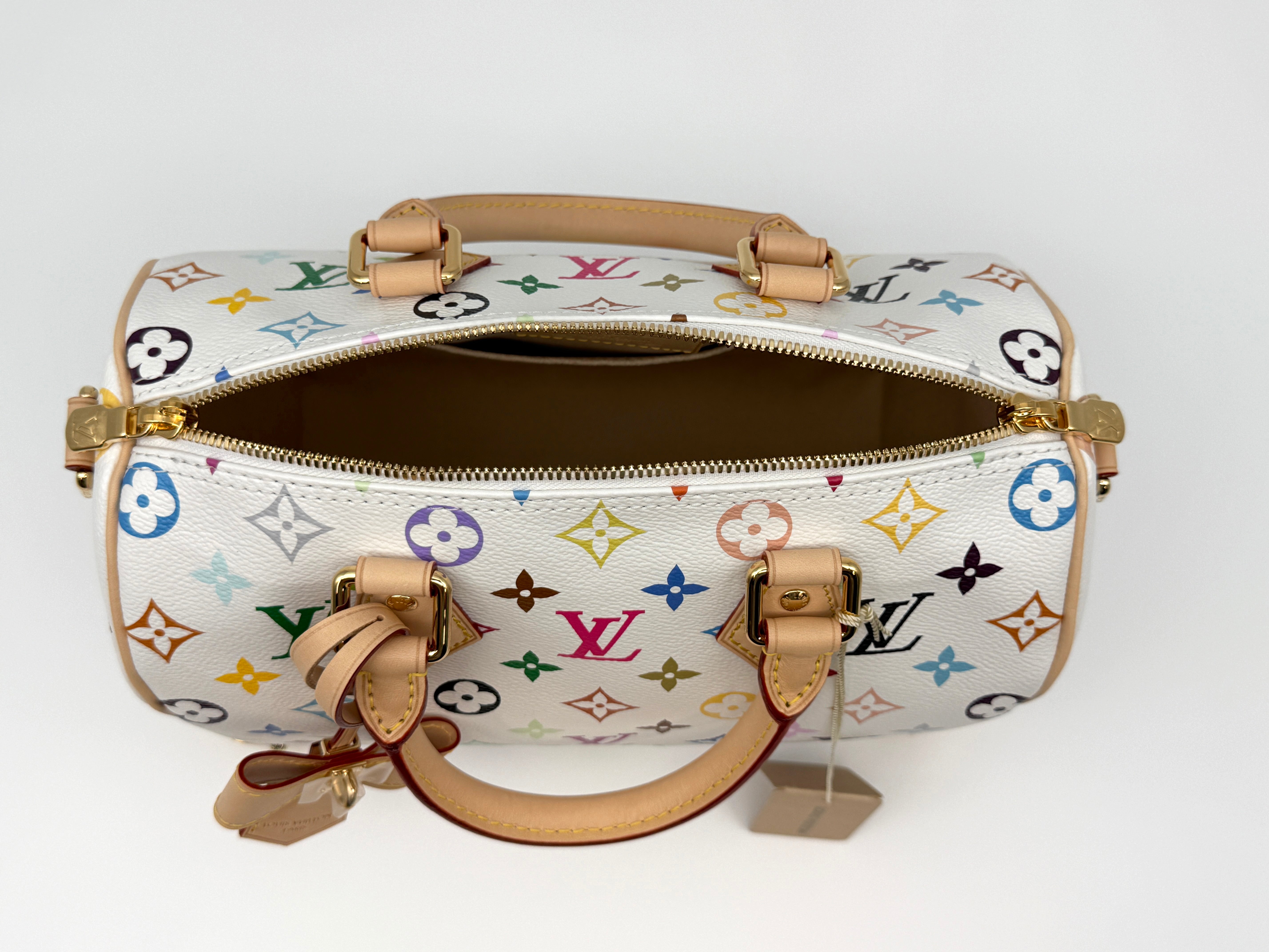 Louis Vuitton Speedy 25 Bandouliere