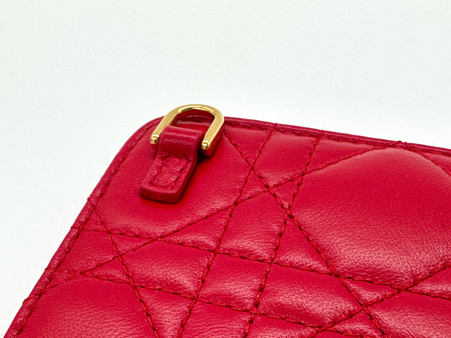 Dior Caro Zipped Pouch