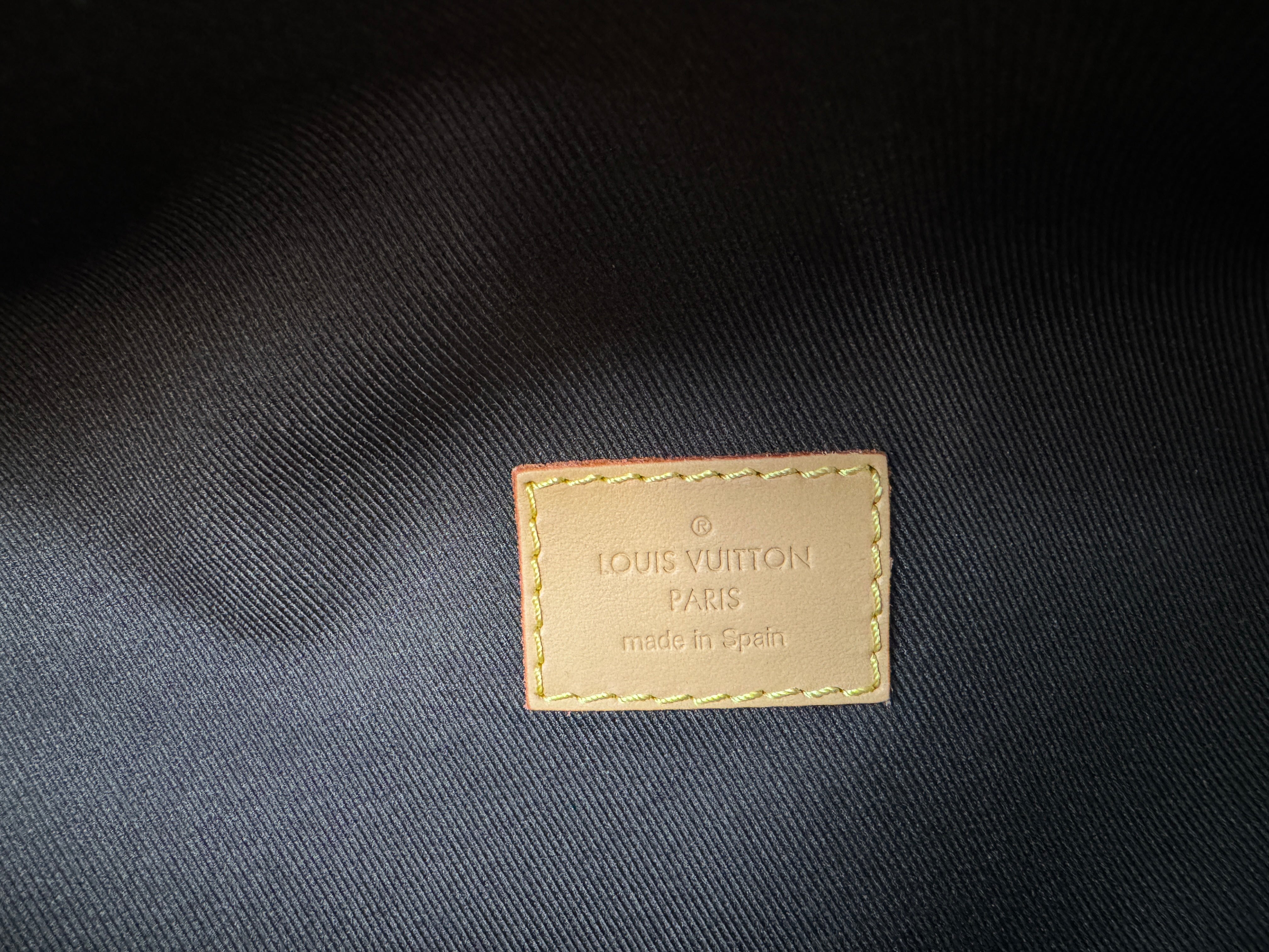 Louis Vuitton x Tyler the Creator Rush Bumbag