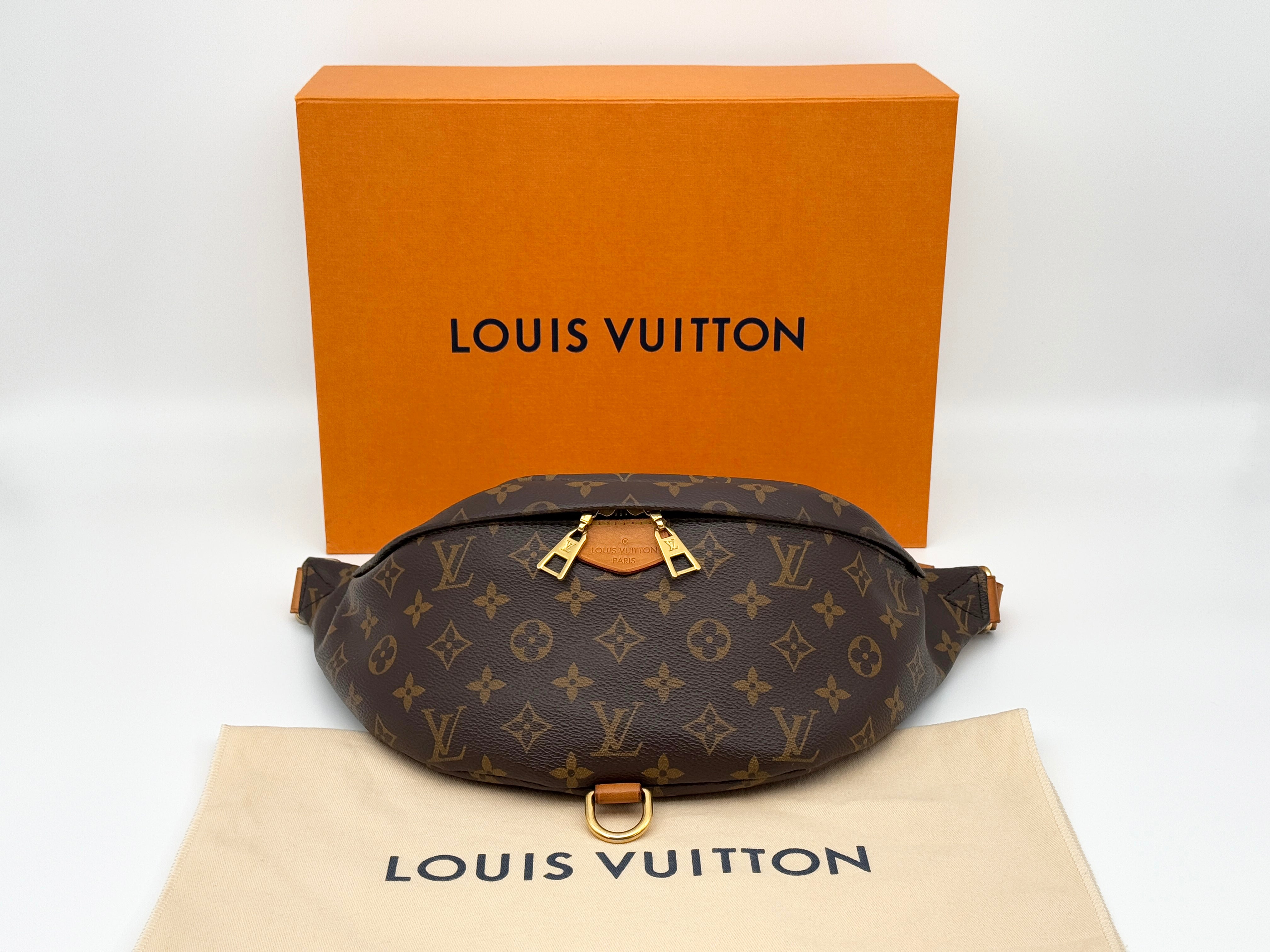 Louis Vuitton Bumbag