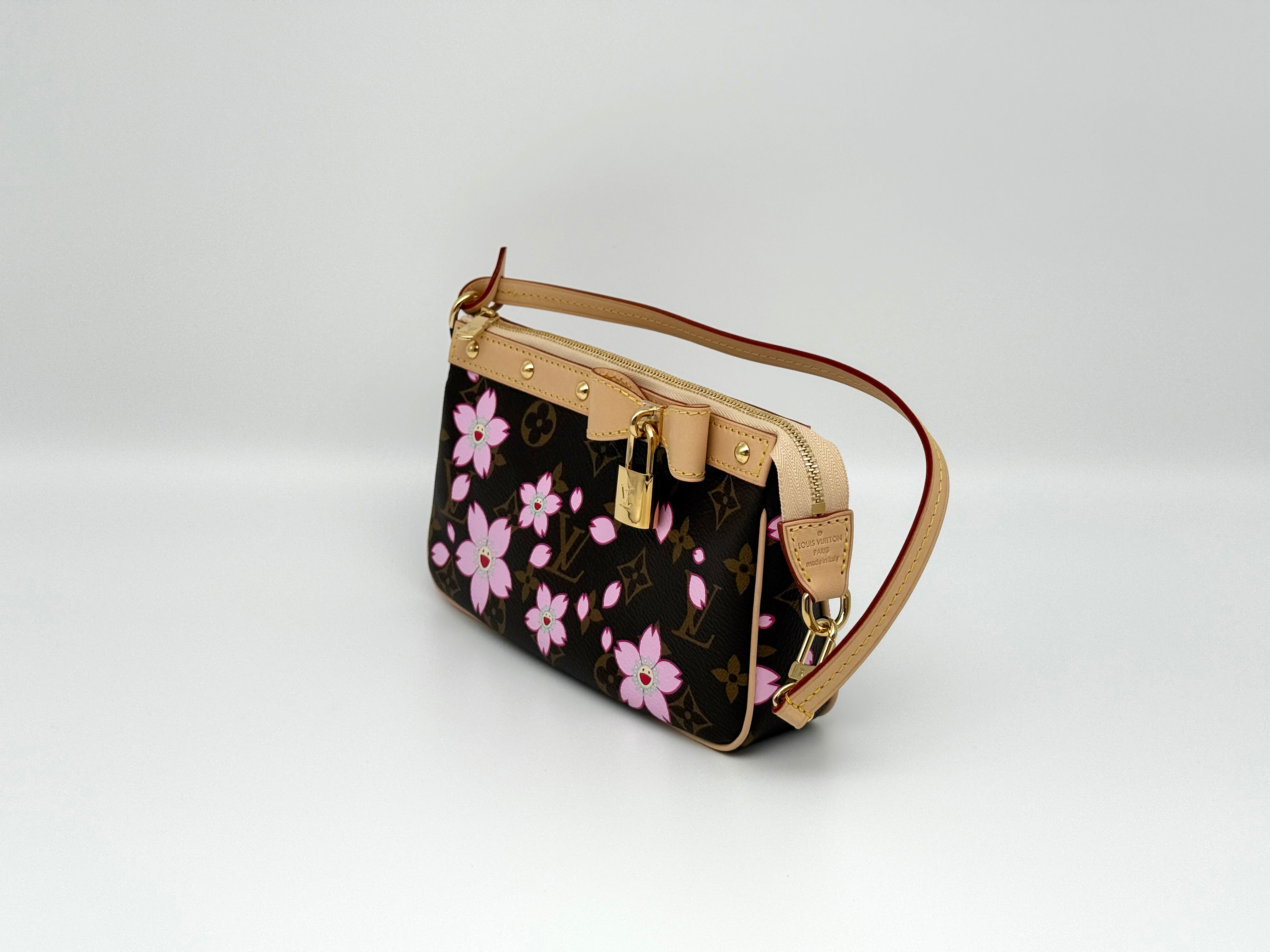 Louis Vuitton Pochette Accessoires