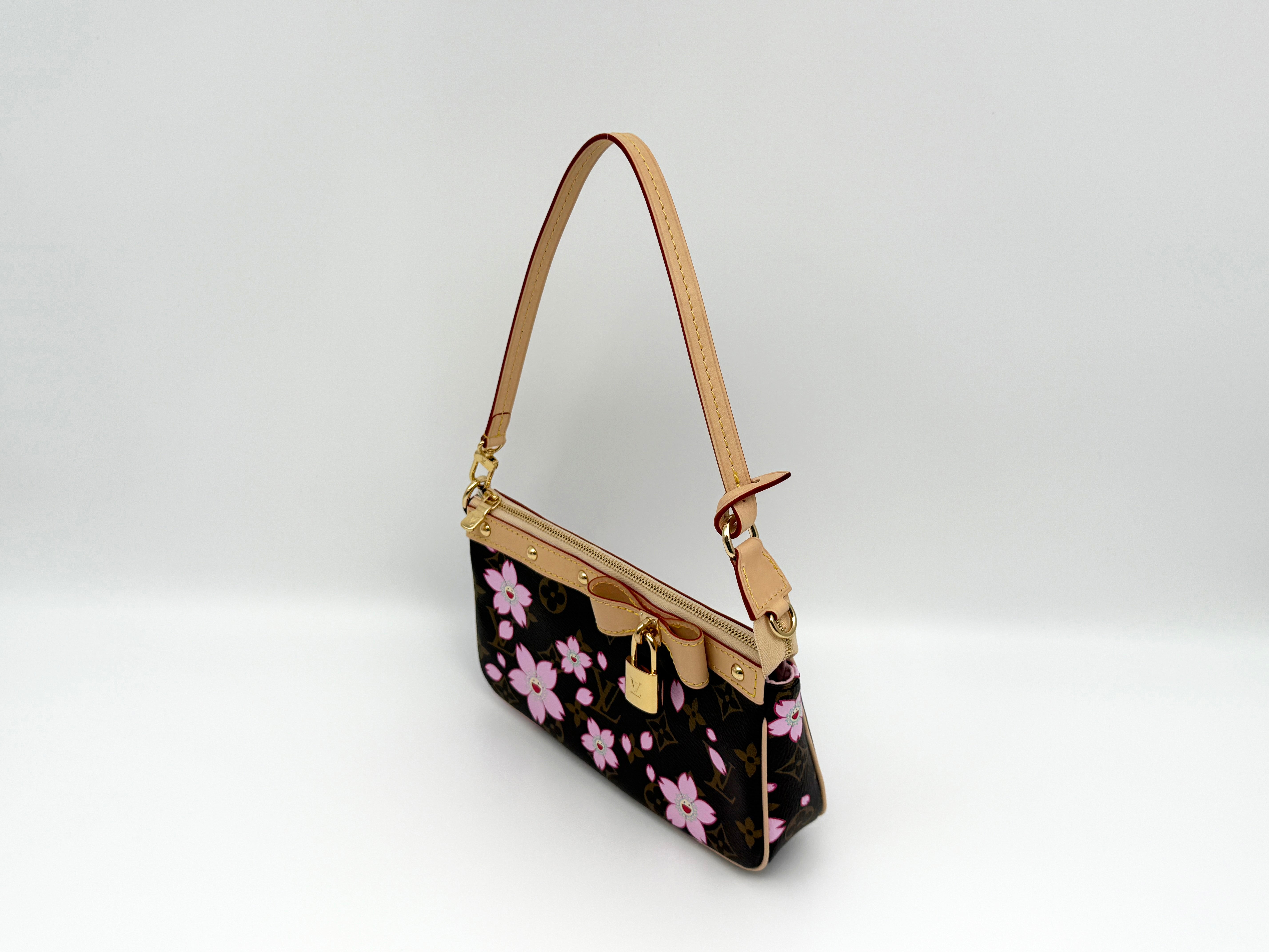 Louis Vuitton Pochette Accessoires