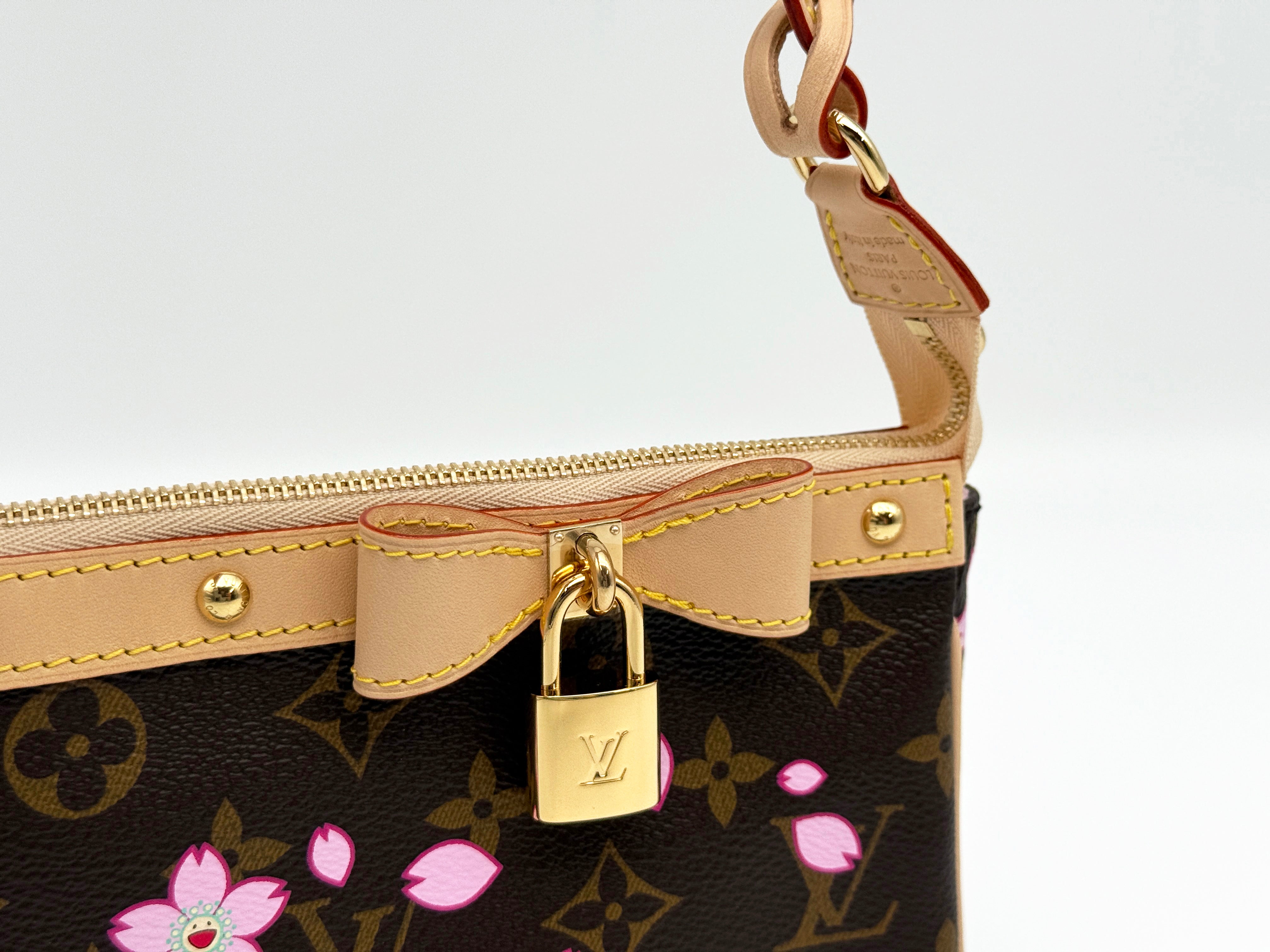 Louis Vuitton Pochette Accessoires