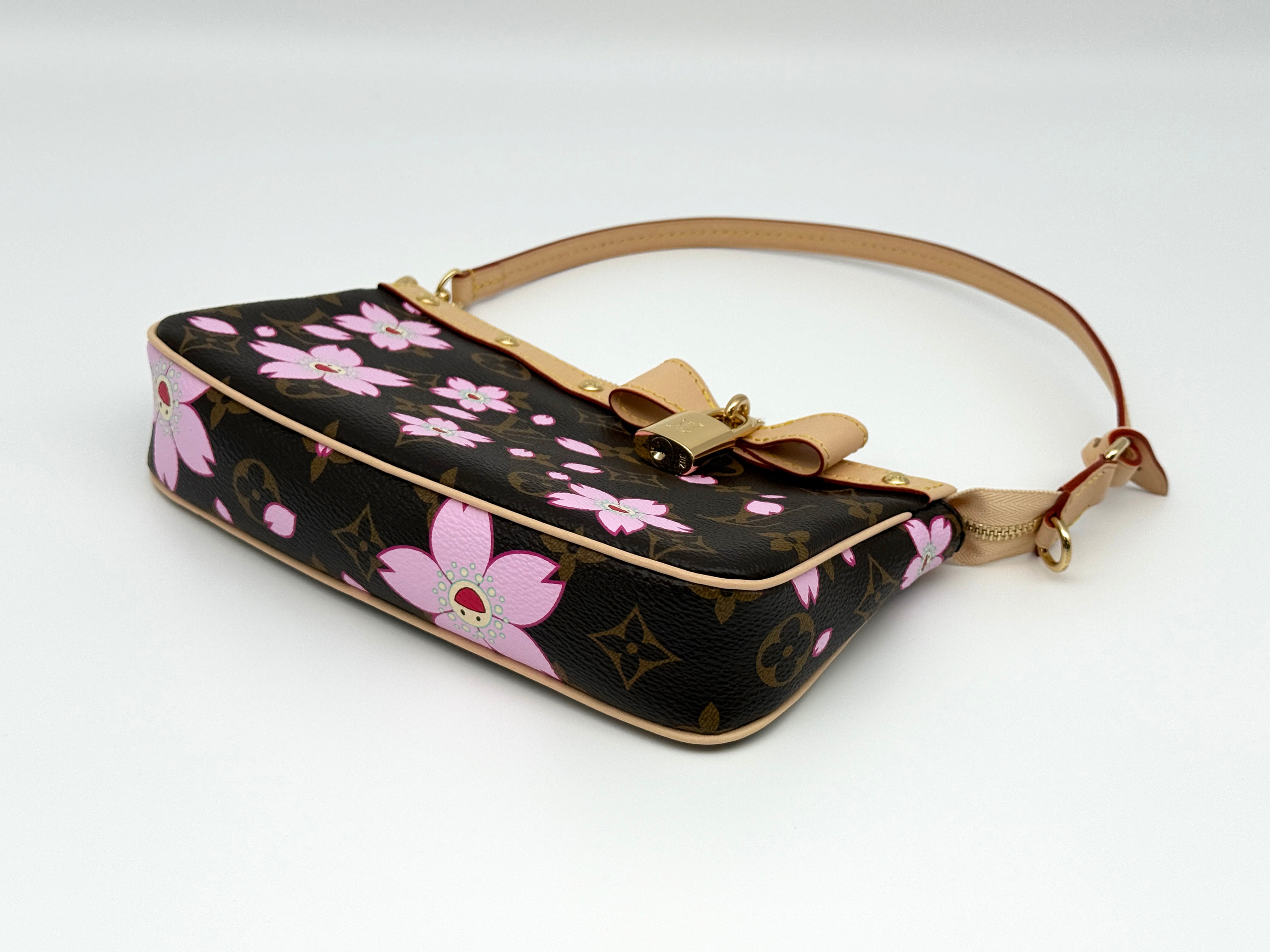 Louis Vuitton Pochette Accessoires
