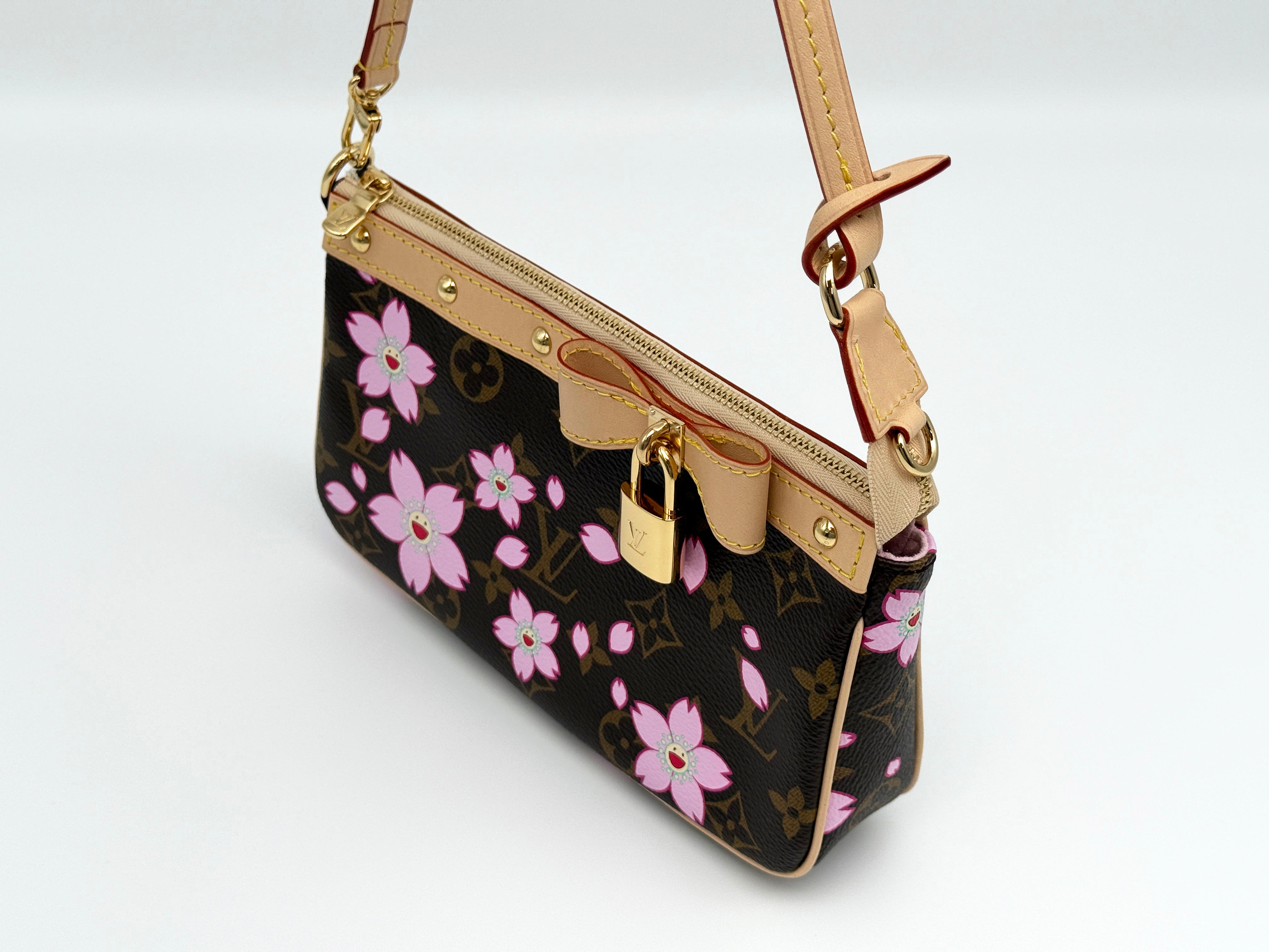 Louis Vuitton Pochette Accessoires